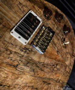 PRS 'DGT' Private Stock - David Grissom Model with Spalted Maple Top - Minty ! Un-Played Collector - Image 7