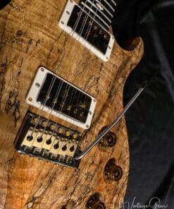 PRS 'DGT' Private Stock - David Grissom Model with Spalted Maple Top - Minty ! Un-Played Collector - Image 8