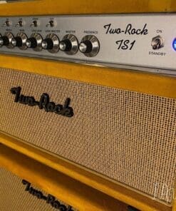 (Pre-Order) Two Rock TS1 40 Watt Head & Matching 1 x 12 Cab - Gold Suede Finish & Cane Cloth - Image 2