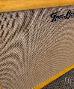 (Pre-Order) Two Rock TS1 40 Watt Head & Matching 1 x 12 Cab - Gold Suede Finish & Cane Cloth - Image 4