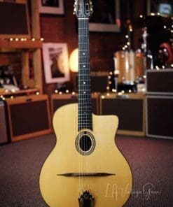 Stringphonic 2018 “Advanced” Limited Edition - Django Style Guitar - Lyle Workman Collection