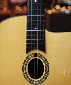 Stringphonic 2018 “Advanced” Limited Edition - Django Style Guitar - Lyle Workman Collection - Image 3