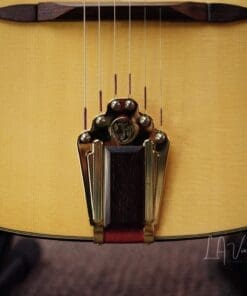 Stringphonic 2018 “Advanced” Limited Edition - Django Style Guitar - Lyle Workman Collection - Image 4