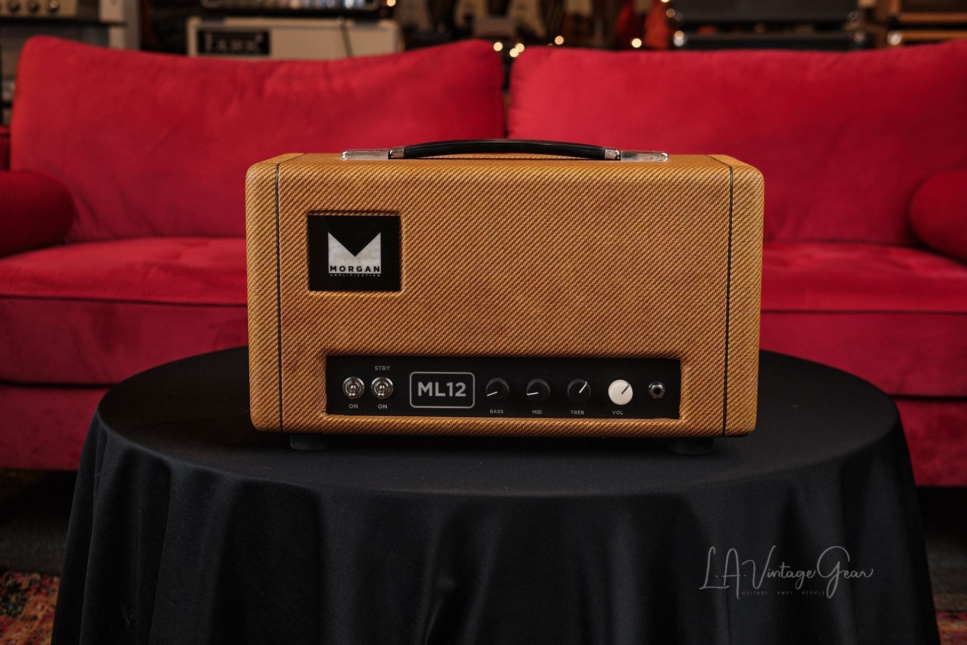 Morgan ML12 Head - Used By Mike Landau With James Taylor!