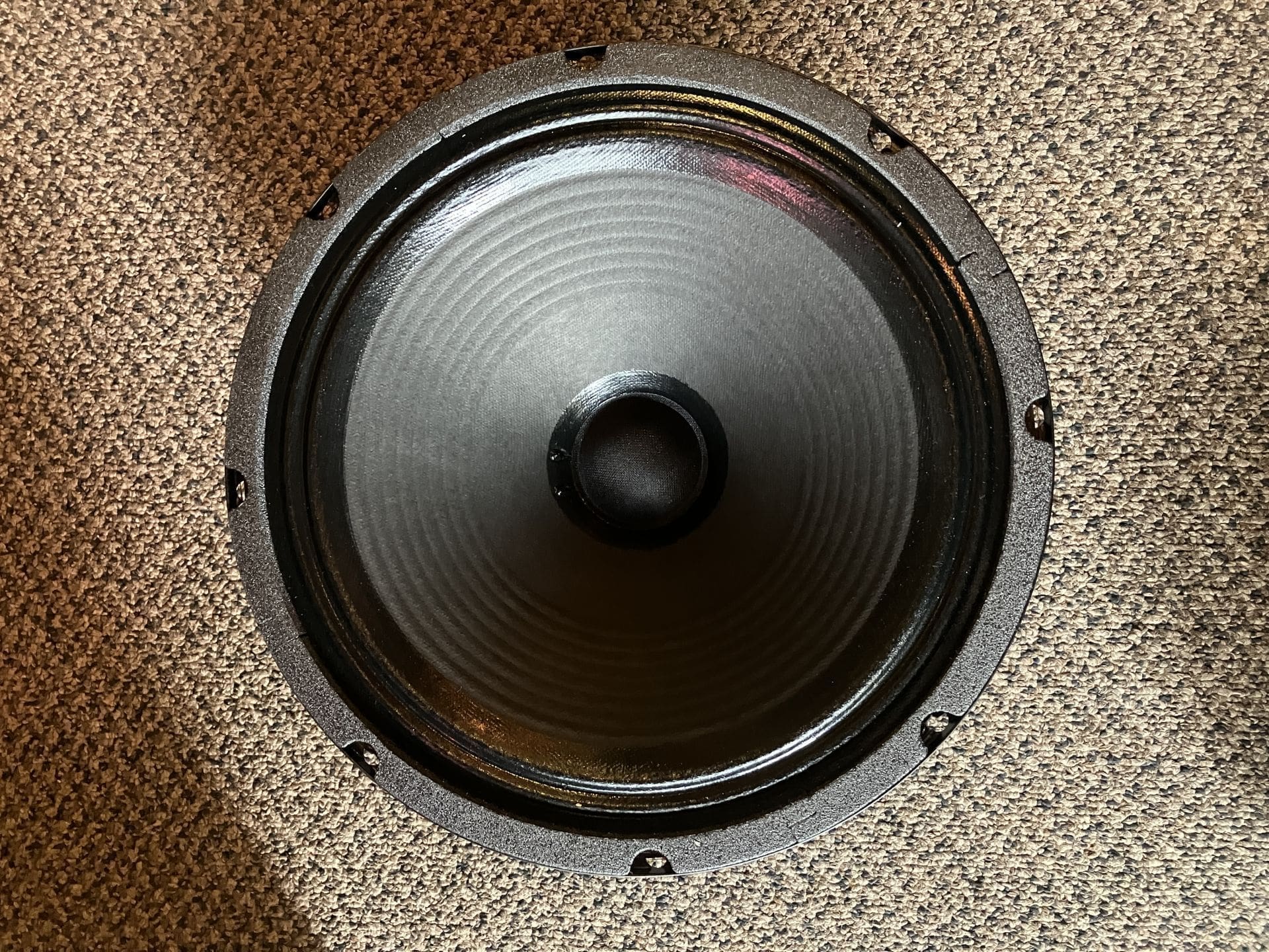 Scumback H55 -- 65 watt 8ohms 12" - Image 3