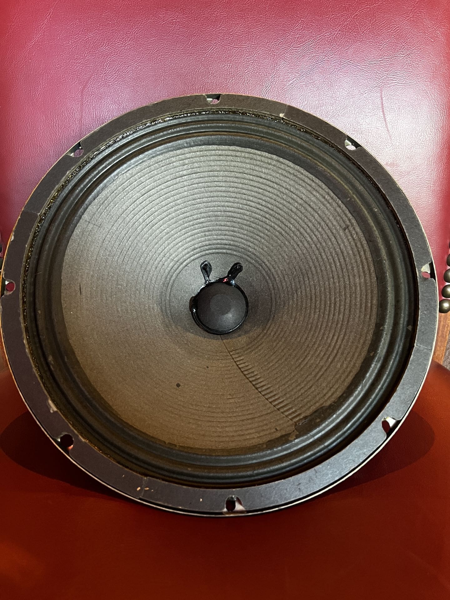 1960's Fender Blue Label Speaker - Recone - Image 2