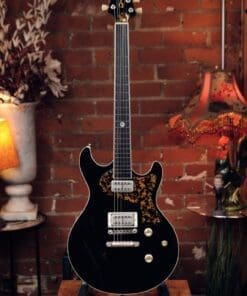 Tonfuchs Dyna 20th Anniversary - Namm Demo Model!