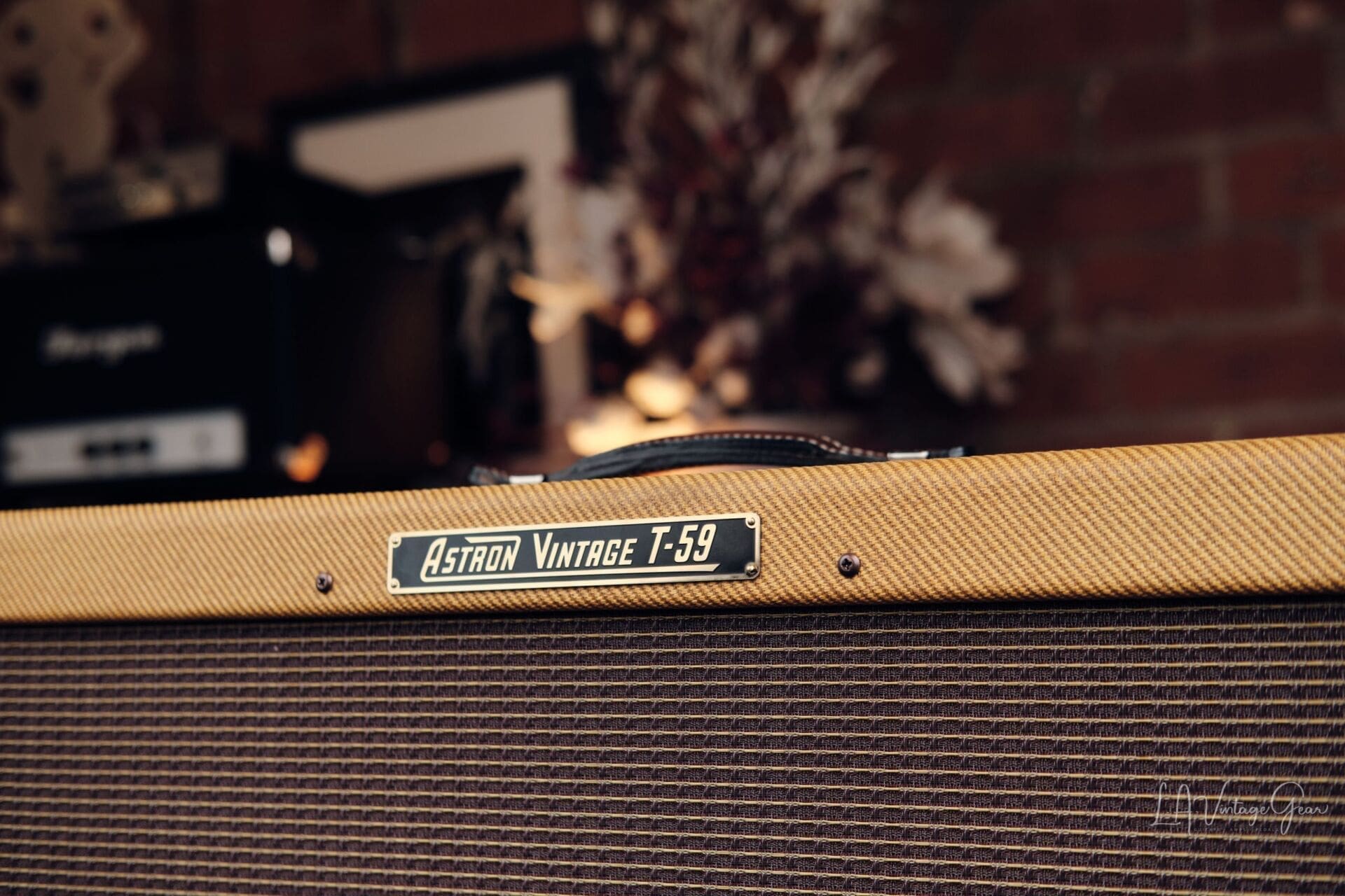 Astron Vintage T-59 Combo Amp - Mesmerizing Tweed Twin Tone! - Image 3