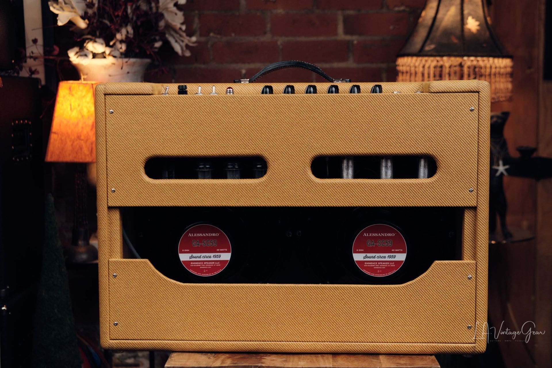 Astron Vintage T-59 Combo Amp - Mesmerizing Tweed Twin Tone! - Image 10