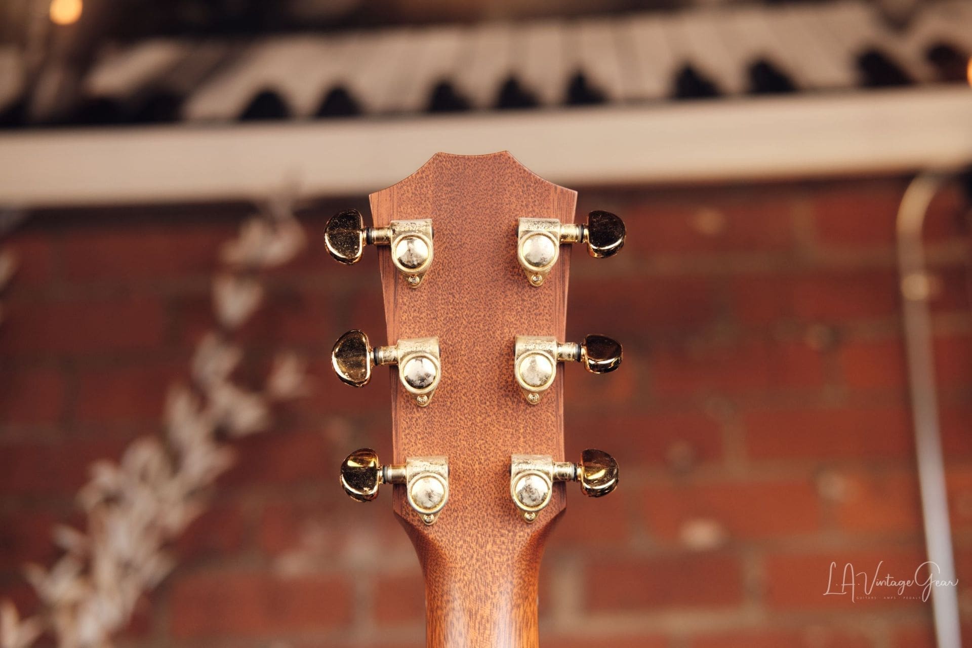 Taylor XX-MC Acoustic Guitar - 20th Anniversary #122 of 250! - Image 9