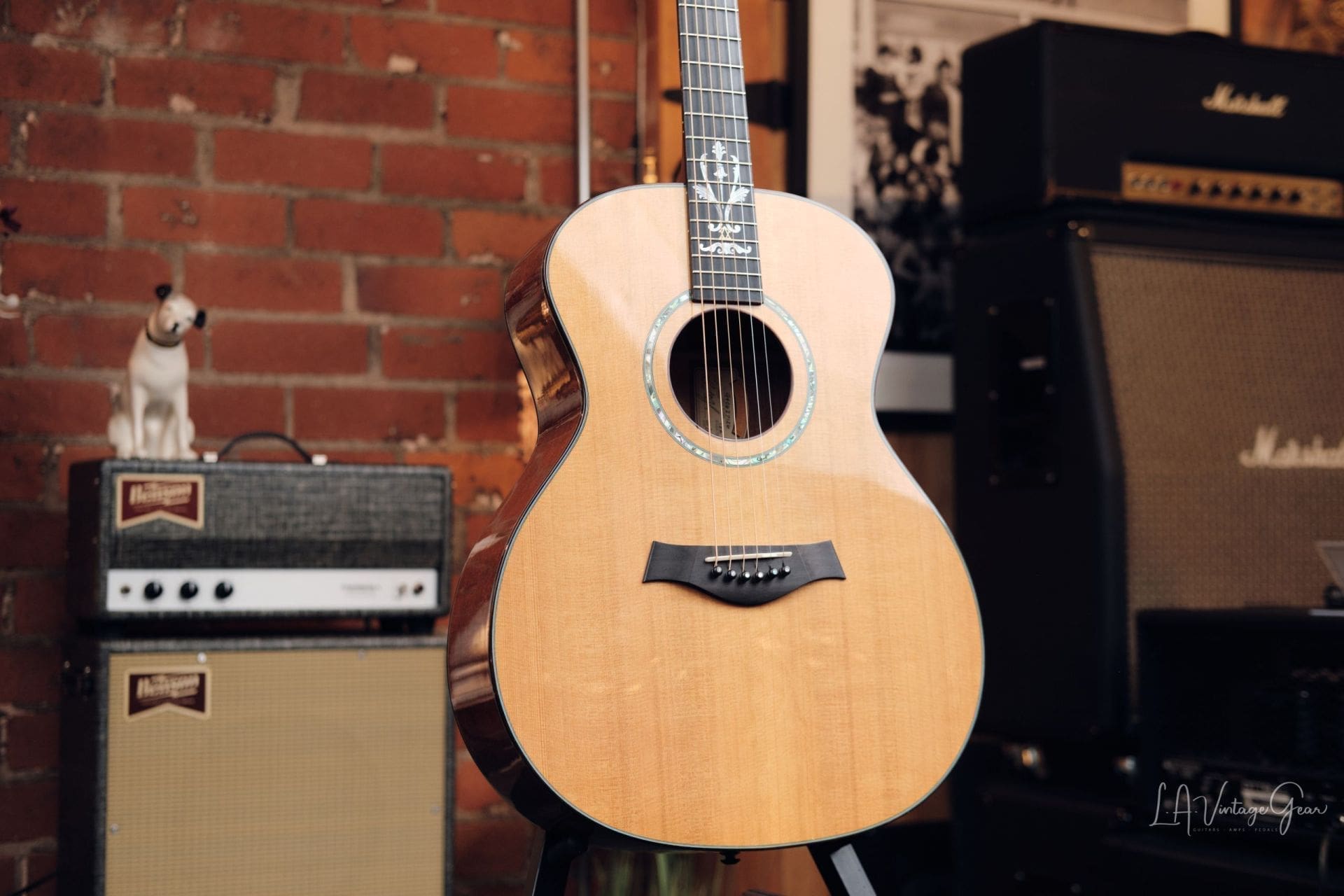 Taylor XX-MC Acoustic Guitar - 20th Anniversary #122 of 250! - Image 4
