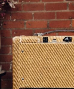 1961 Fender Champ 5F1 - Killer Tweed Tones! - Image 9