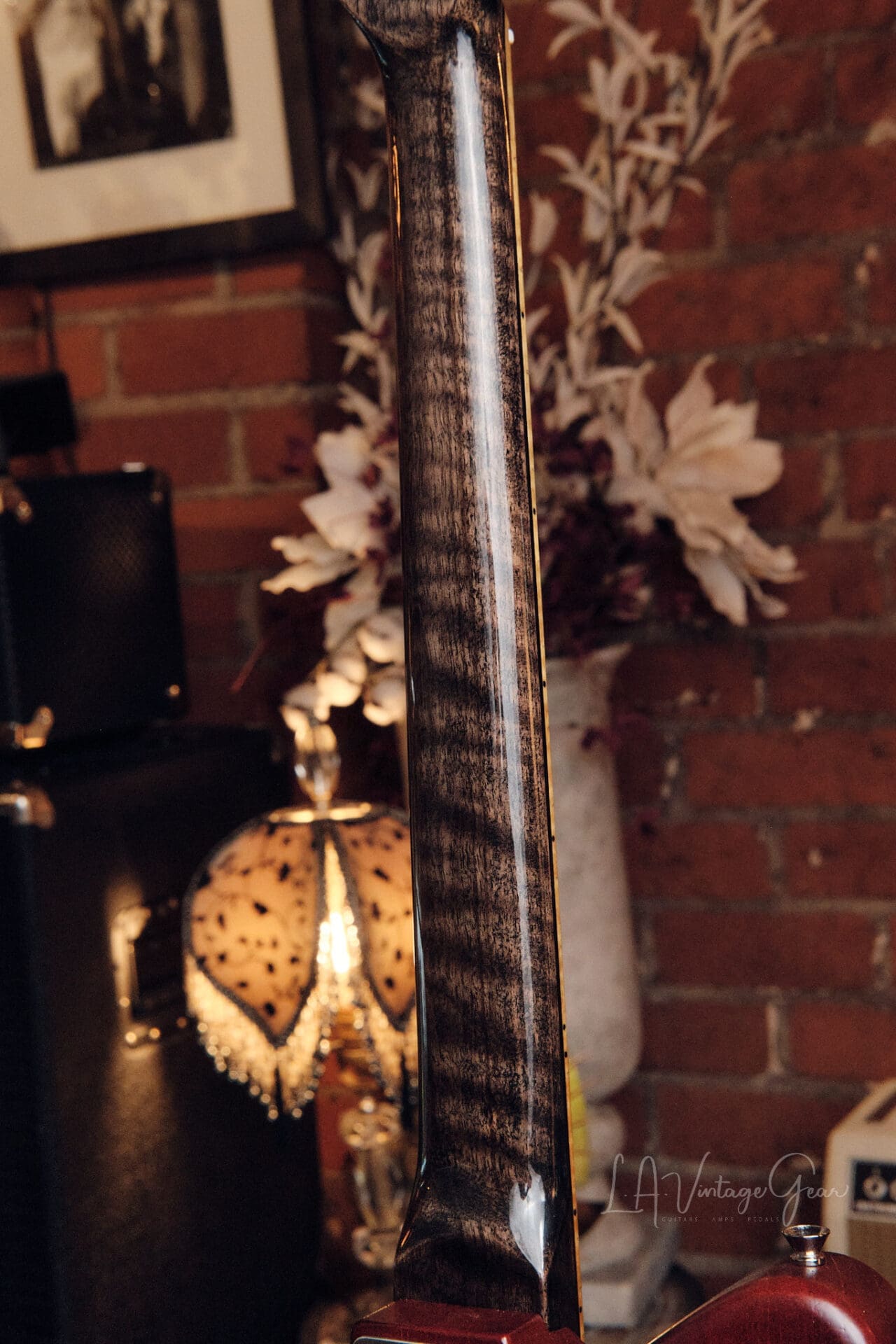 Paveza Guitars Drake - Namm Show Demo Model! - Image 9