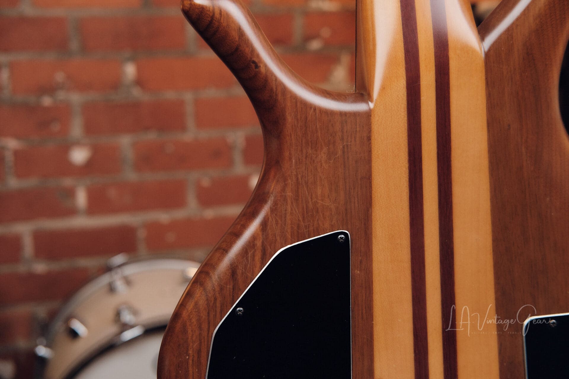 Laurus Quasar 5 String Bass - Great Active 5 String! - Image 14