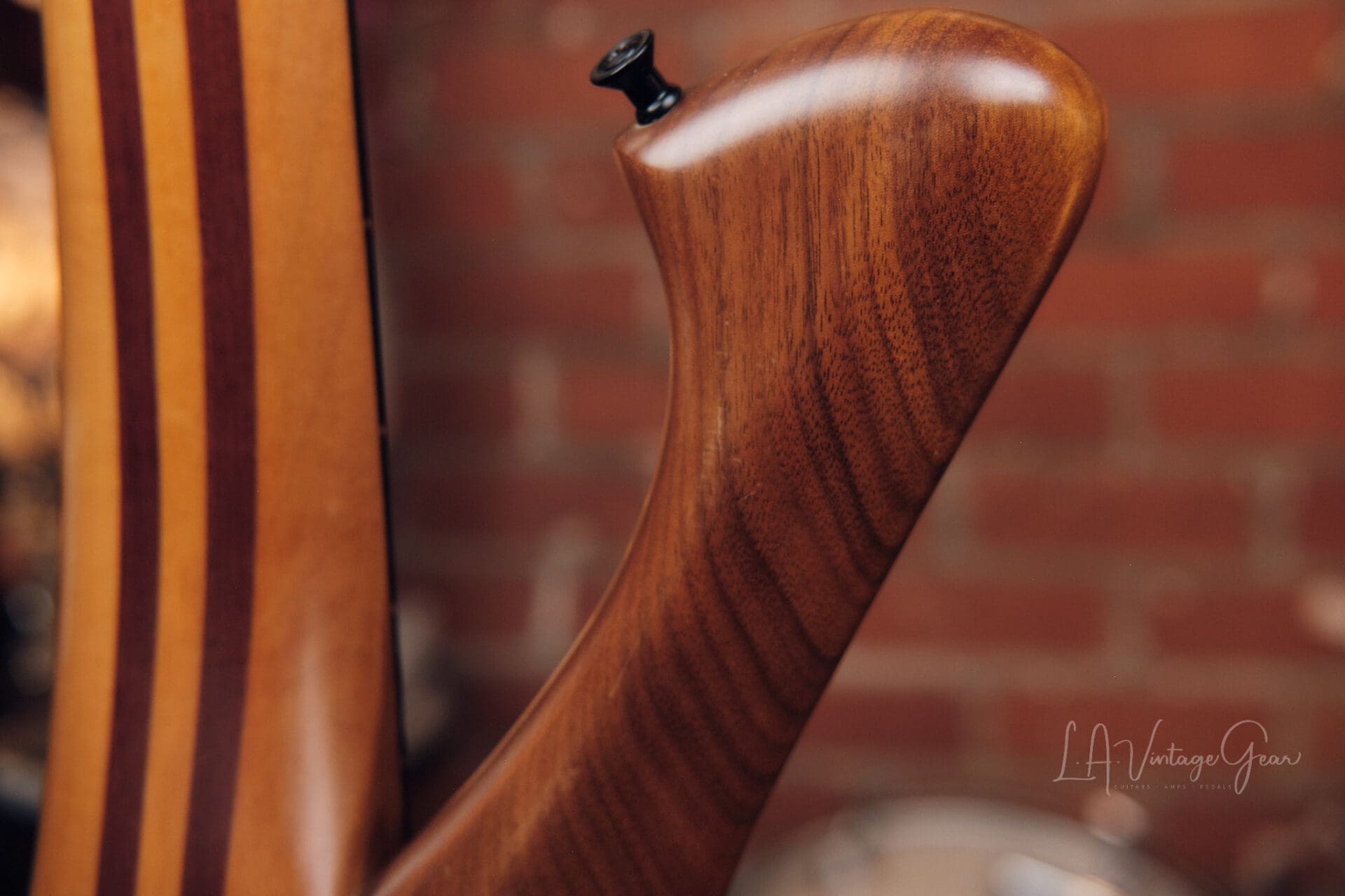 Laurus Quasar 5 String Bass - Great Active 5 String! - Image 16