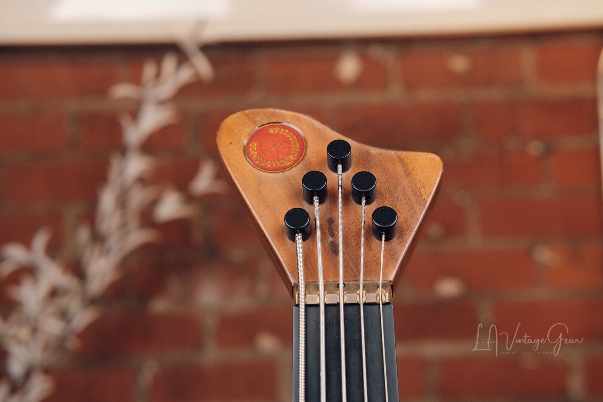 Laurus Quasar 5 String Bass - Great Active 5 String! - Image 10