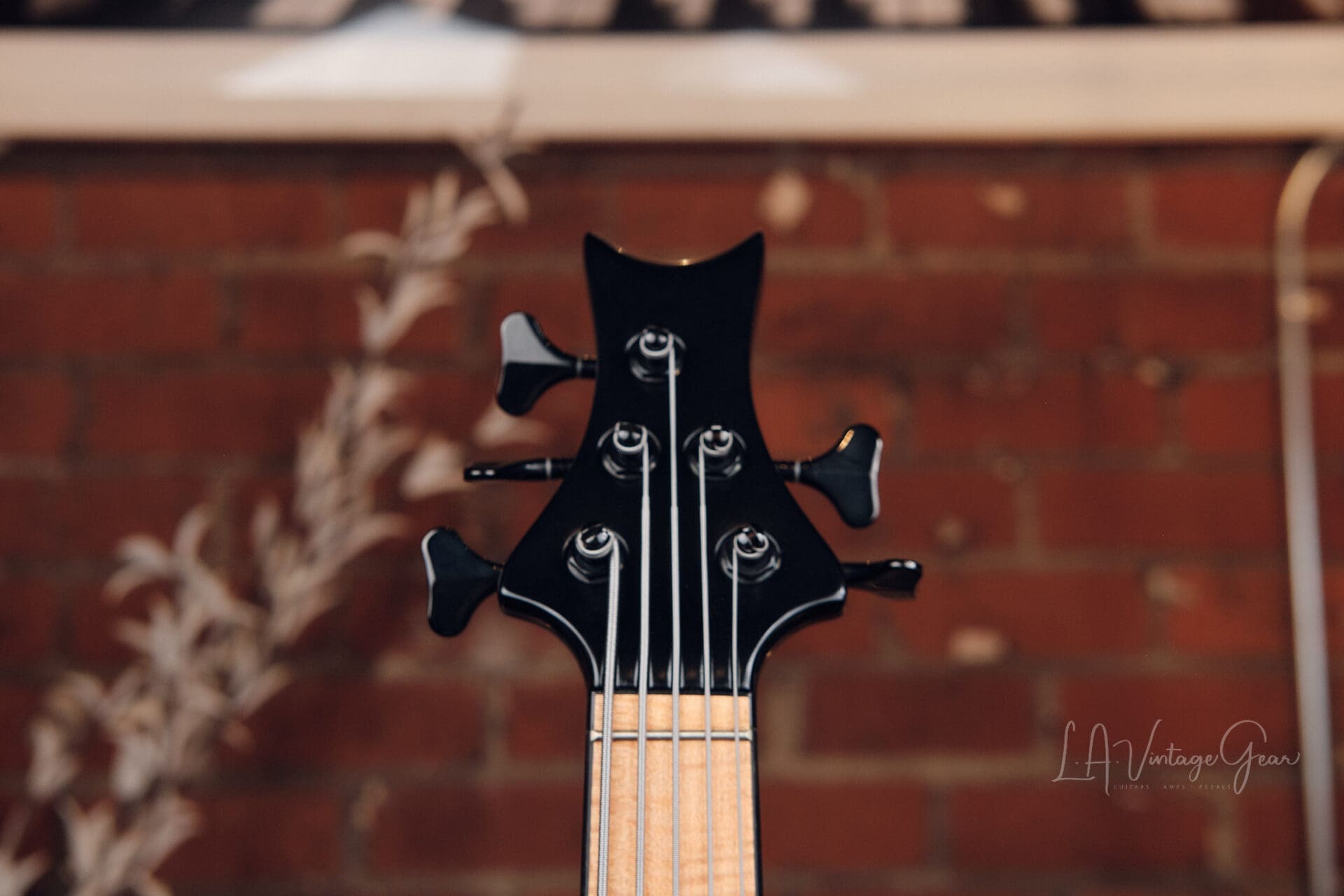 Le Fay Waran 5 String Bass - Awesome 5 String! - Image 8