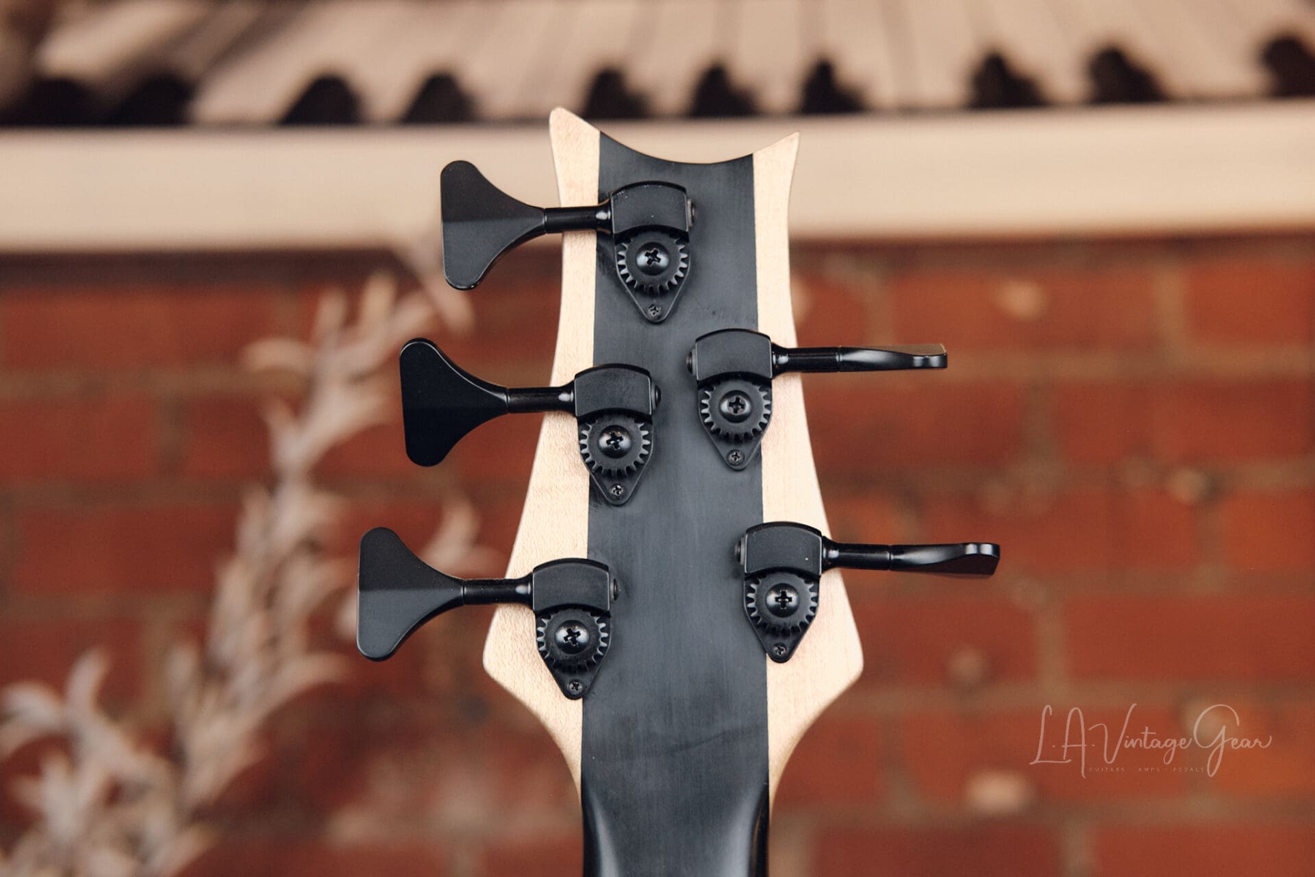 Presnell 5 String Bass - Graphite Set Neck! - Image 8