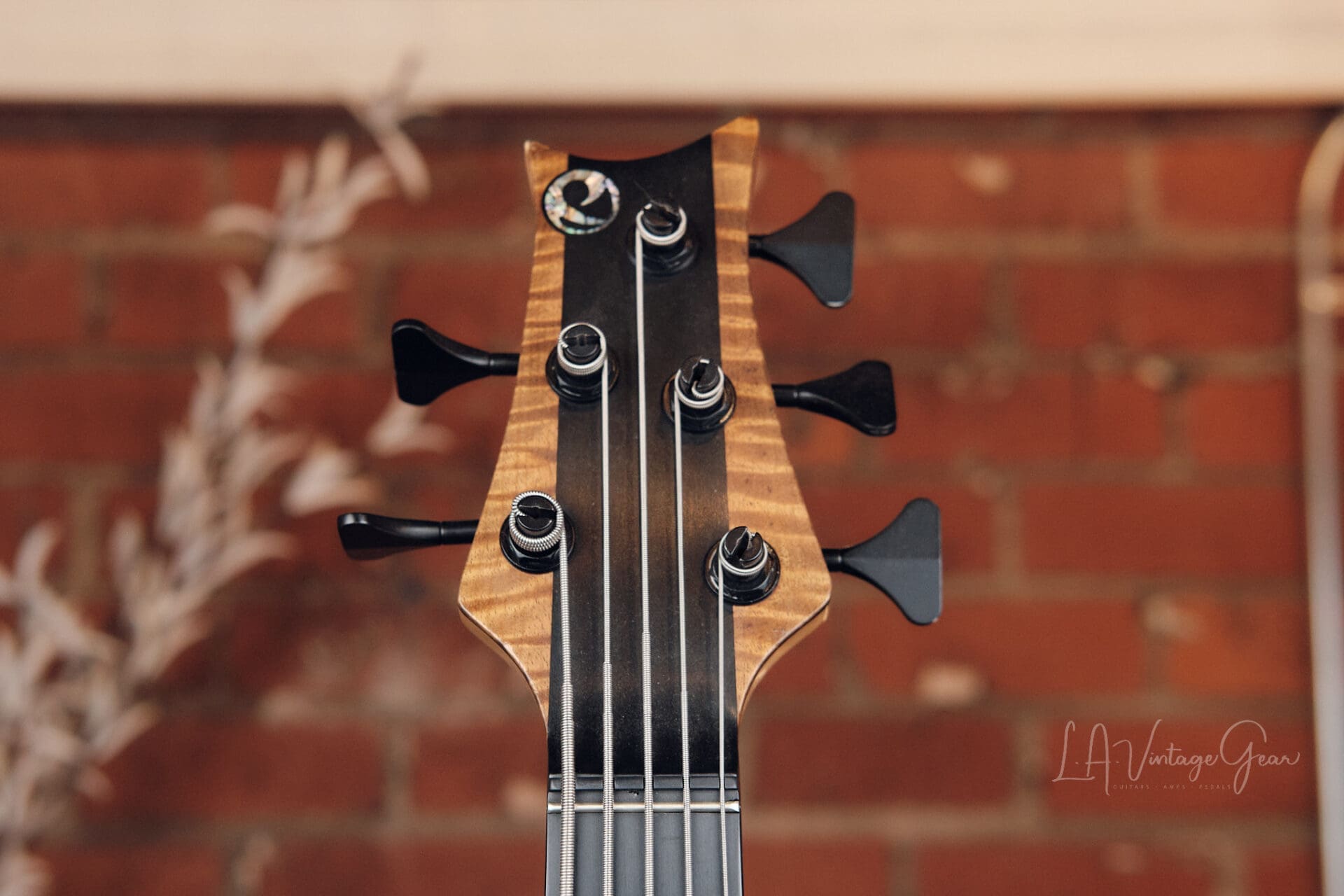 Presnell 5 String Bass - Graphite Set Neck! - Image 5