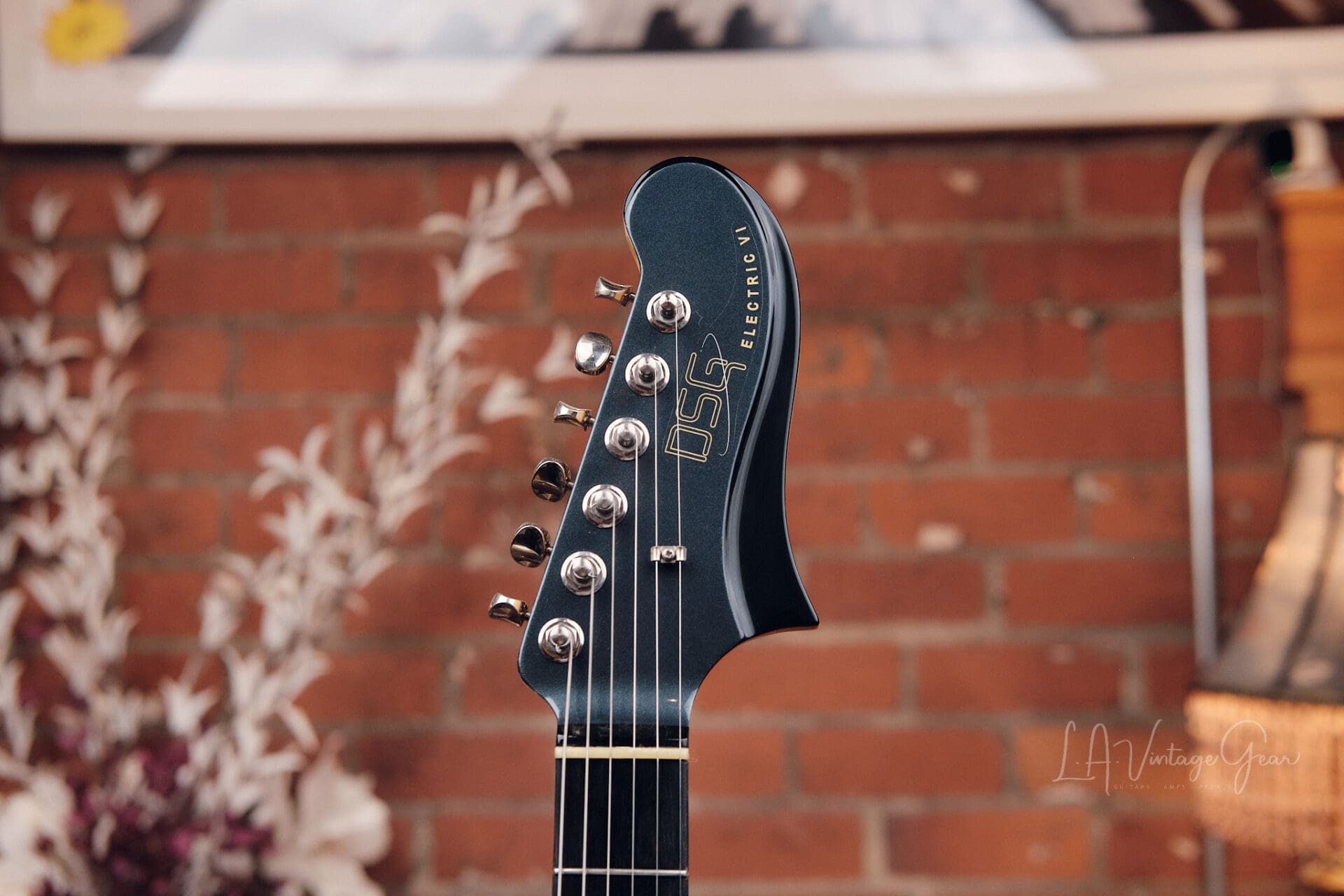 DSG Electric VI - With Curtis Novak Pickups! - Image 5