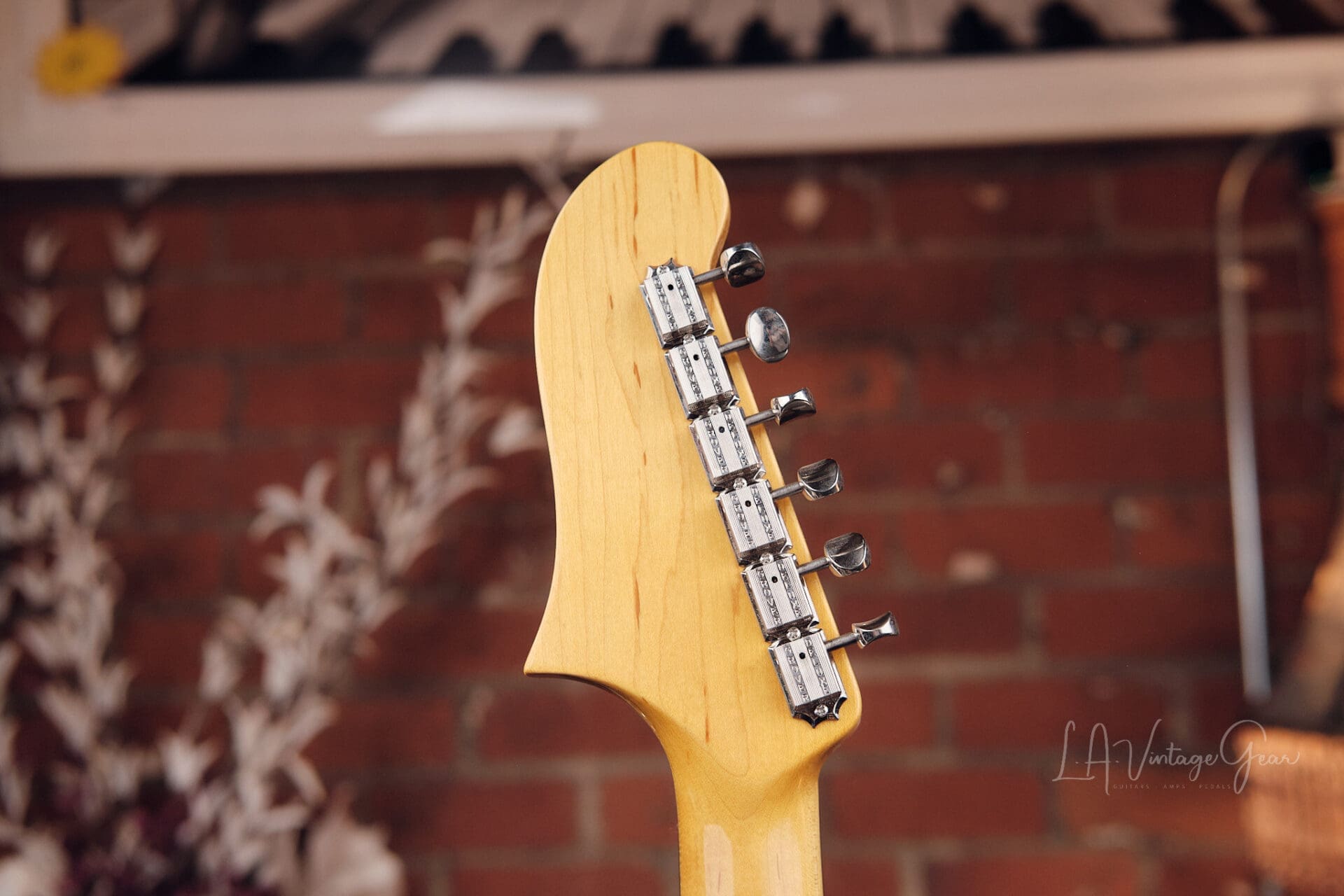 DSG Electric VI - With Curtis Novak Pickups! - Image 9