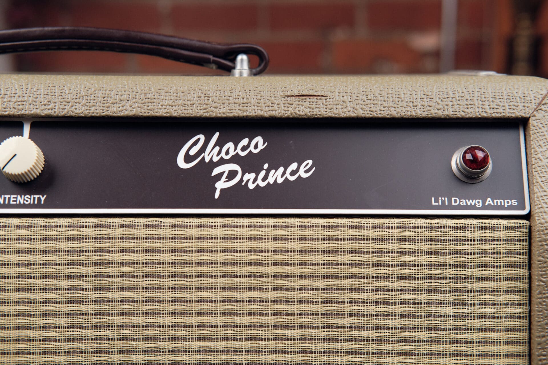 Lil Dawg ChocoPrince 12 Watt 10" Combo Amplifier — 6G2 Princeton Style Hand-Wired Tube Amp - Image 4