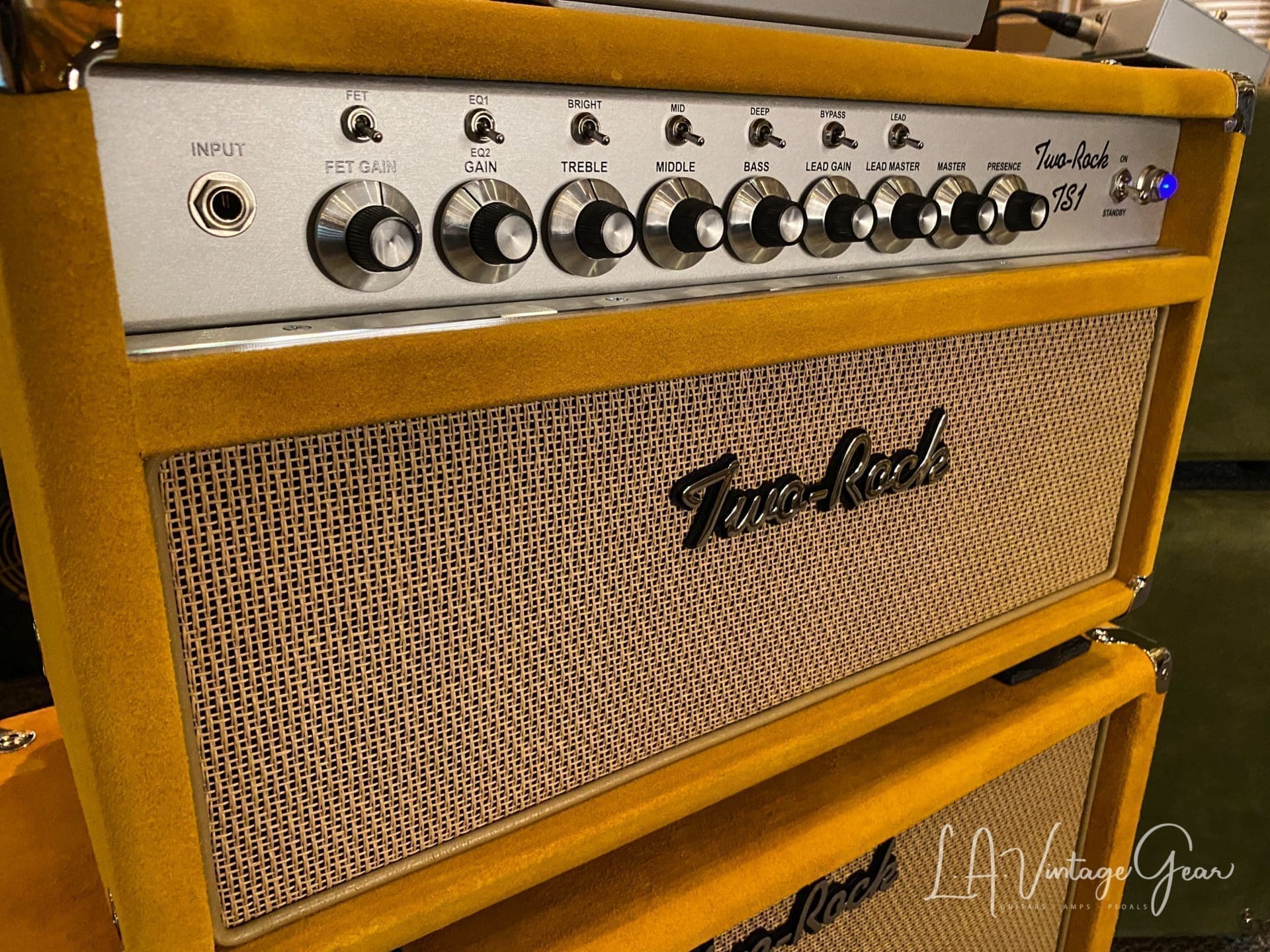 (Pre-Order) Two Rock TS1 40 Watt Head & Matching 1 x 12 Cab - Gold Suede Finish & Cane Cloth - Image 3