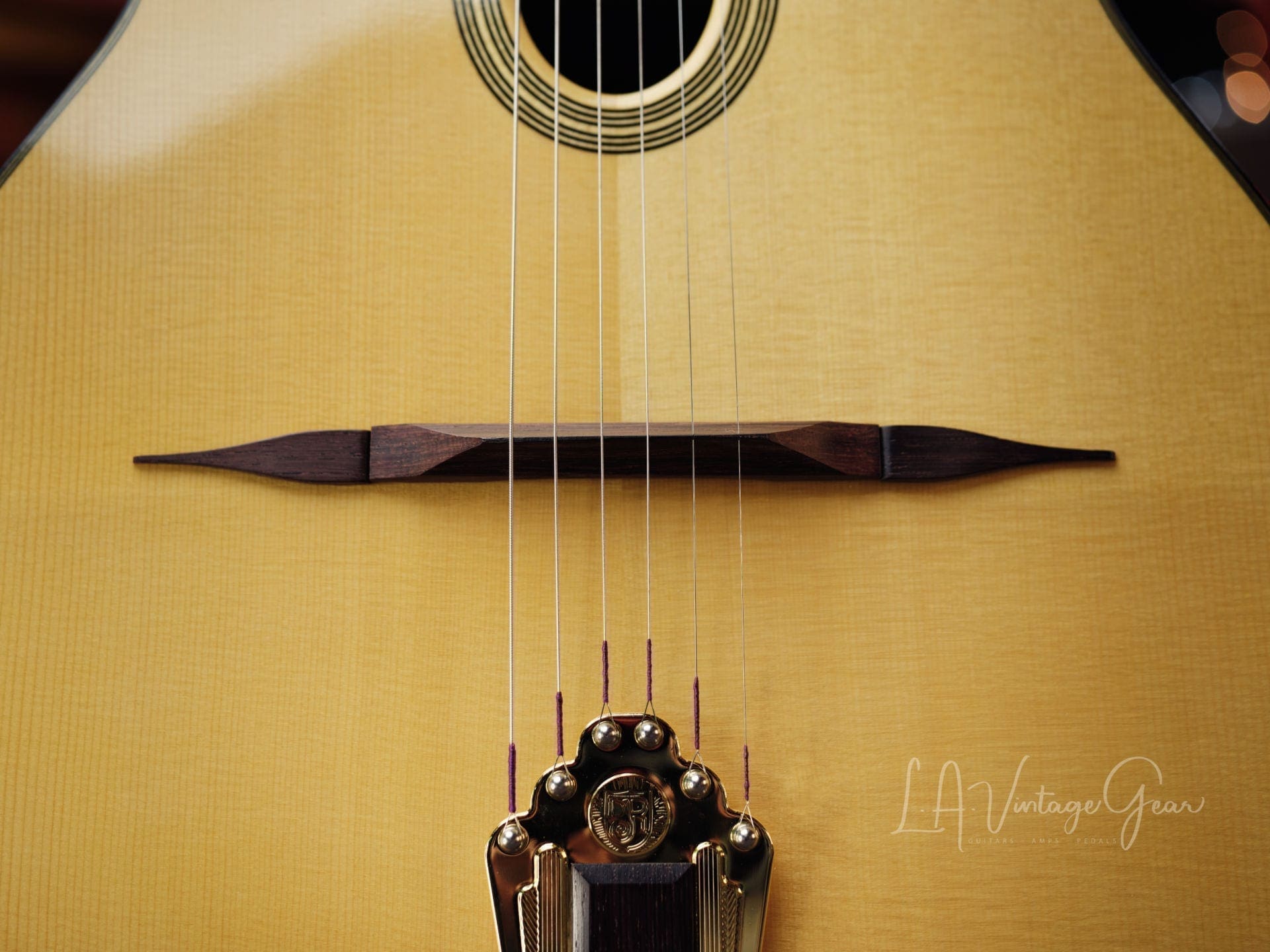 Stringphonic 2018 “Advanced” Limited Edition - Django Style Guitar - Lyle Workman Collection - Image 5