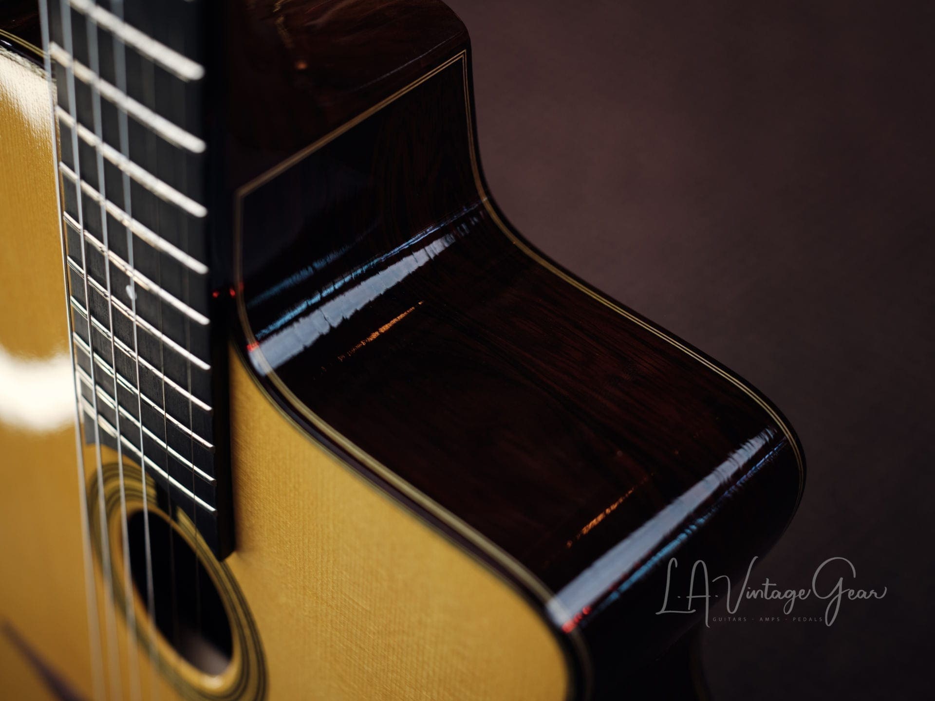 Stringphonic 2018 “Advanced” Limited Edition - Django Style Guitar - Lyle Workman Collection - Image 9