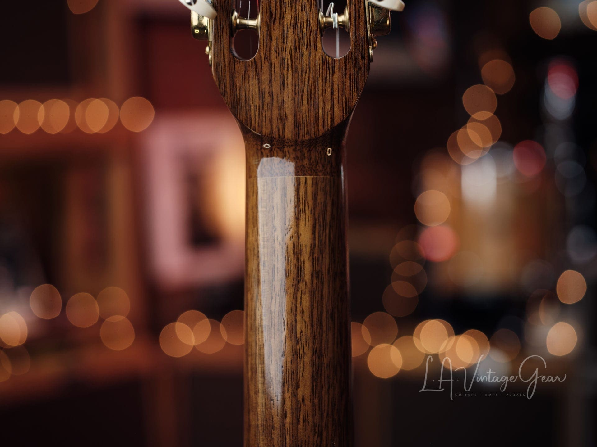 Stringphonic 2018 “Advanced” Limited Edition - Django Style Guitar - Lyle Workman Collection - Image 15