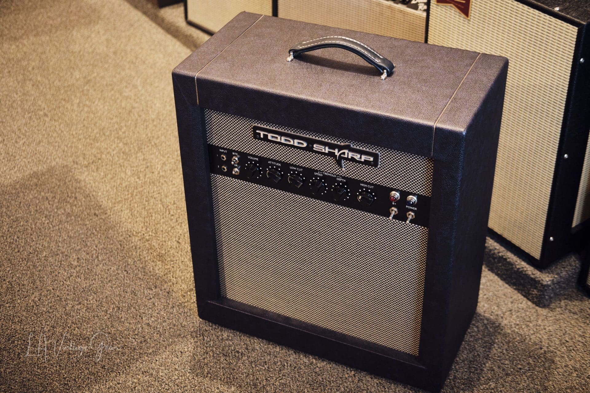 Todd Sharp 20 Watt 1x12 Combo - w/ Alessandro Speaker and Reverb! One of a kind with built in reverb - Image 2