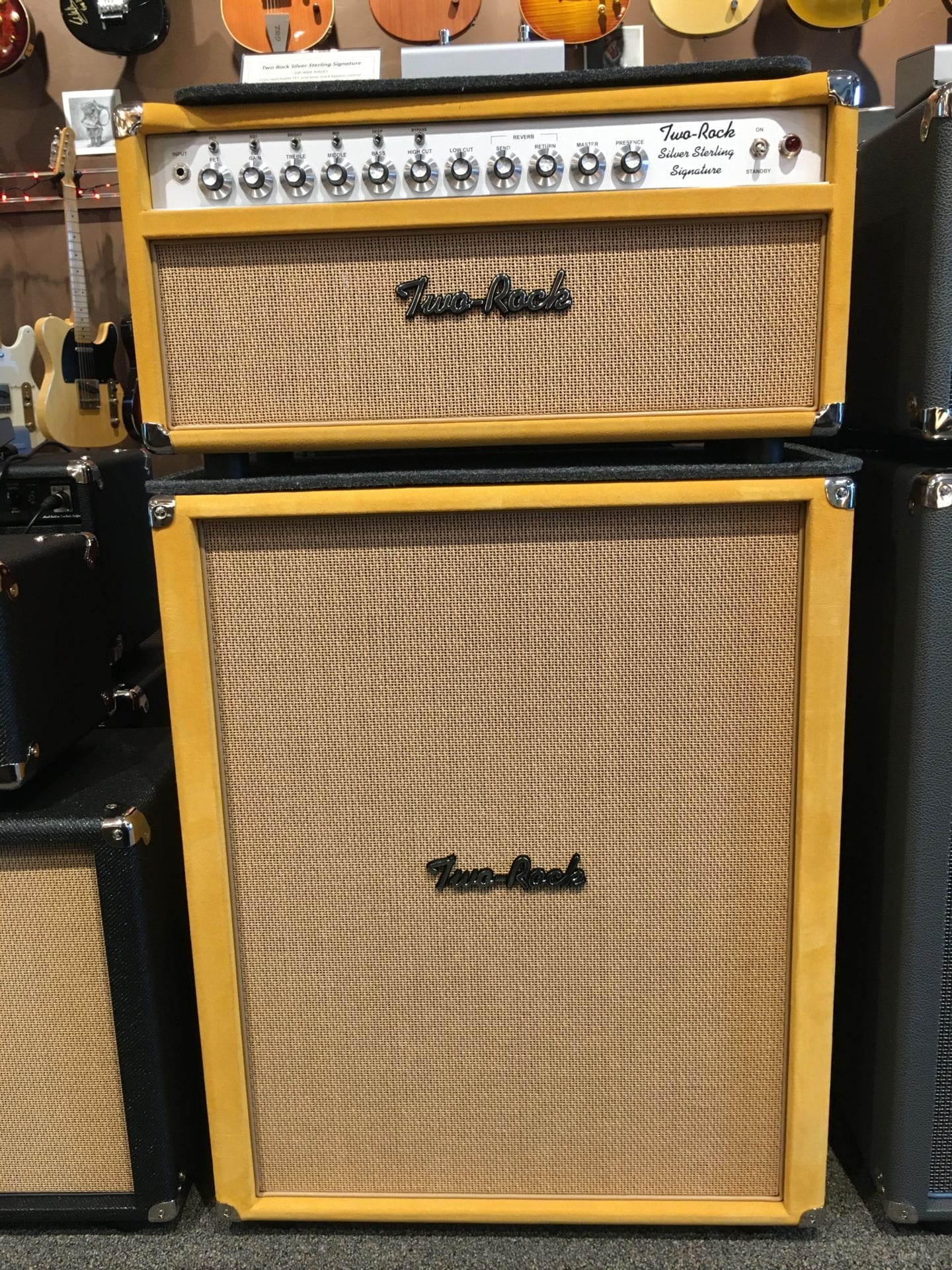 Two Rock Silver Sterling Signature Head and 2x12 - Gold Suede