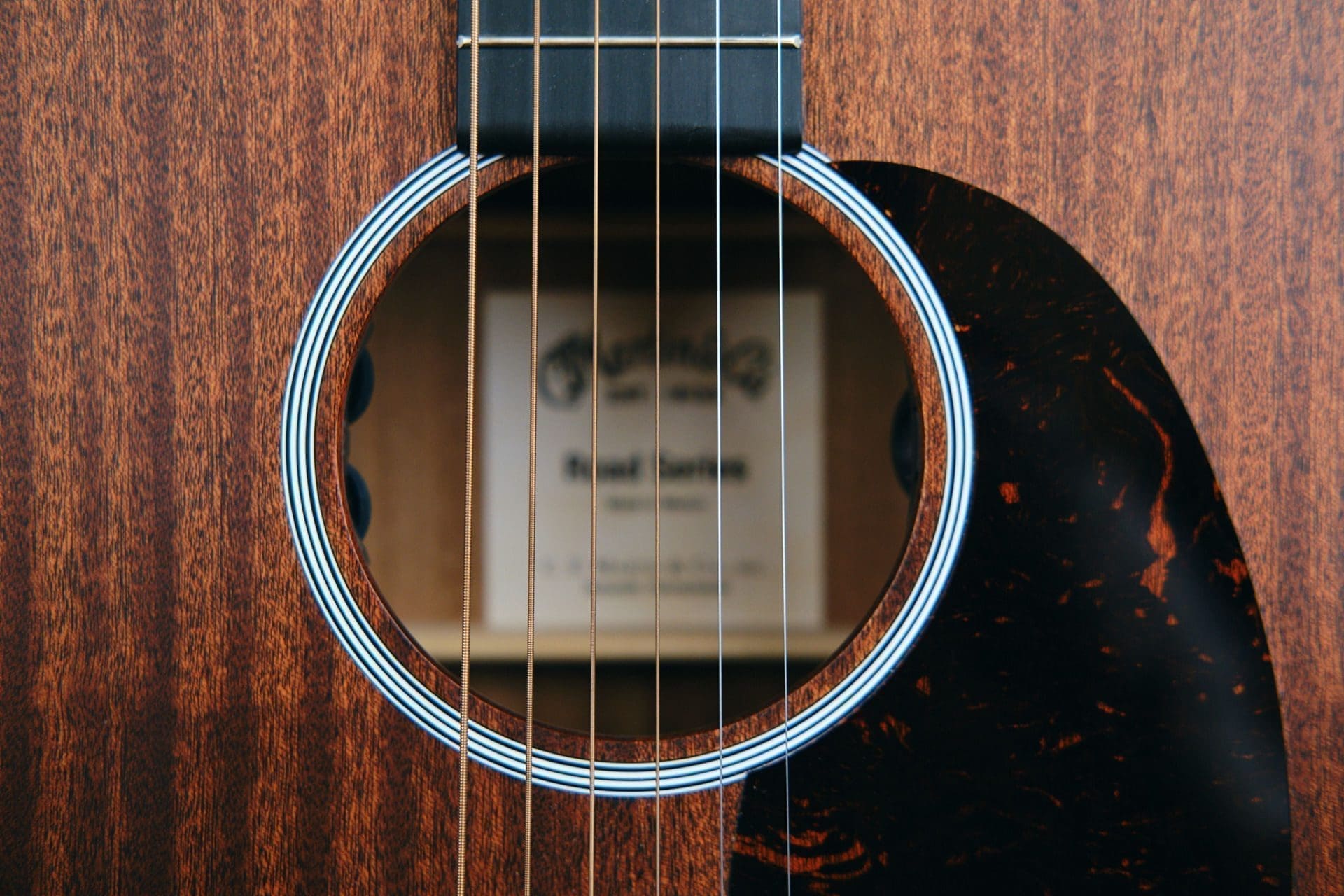 Martin D10E Road Series Acoustic with Fishman MX-T Pickup! Comes with Gig Bag! - Image 4
