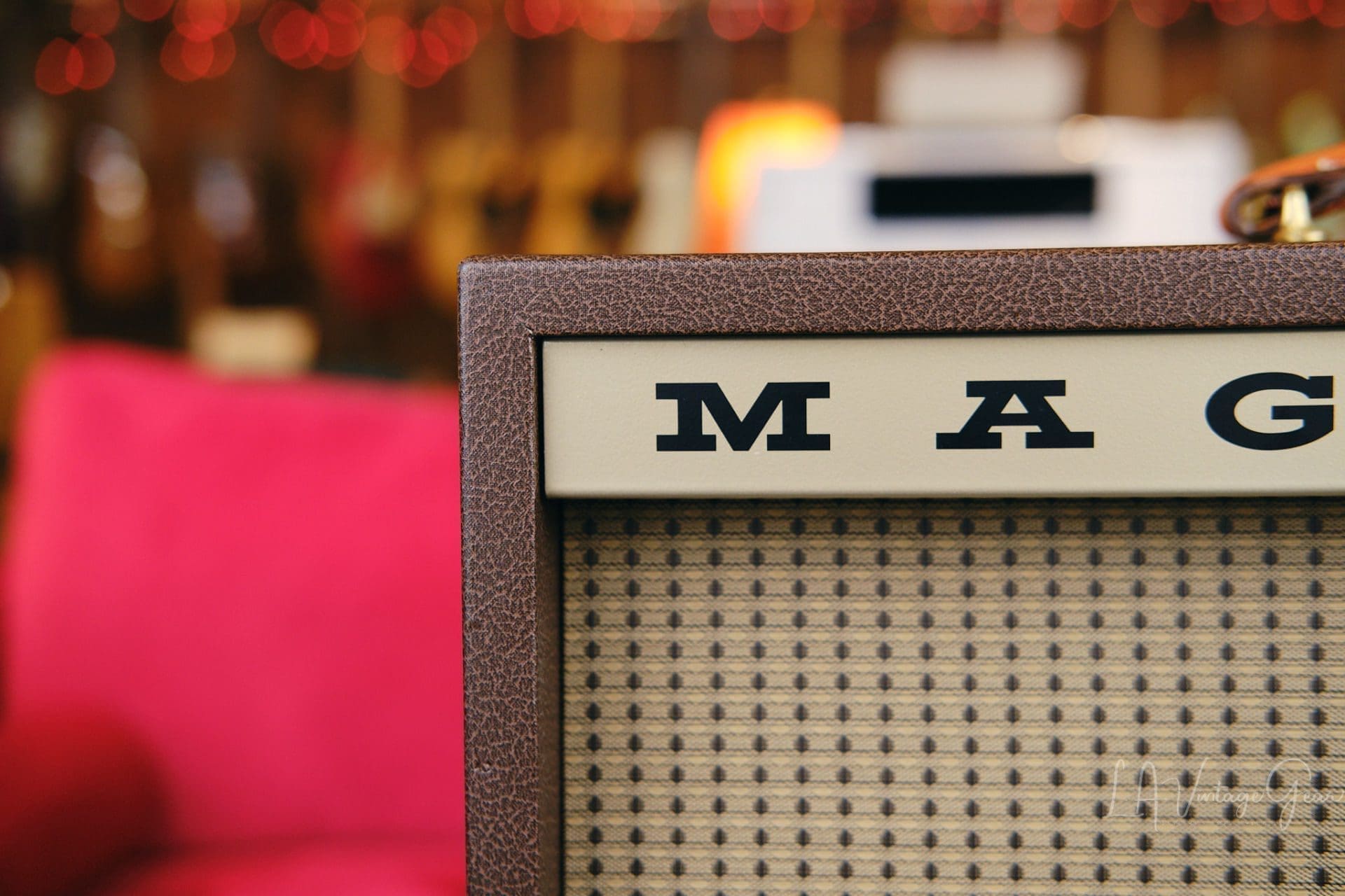 Magnatone Panoramic 2x10 Combo Guitar Amplifier-Pre Owned in Excellent Condition! - Image 5