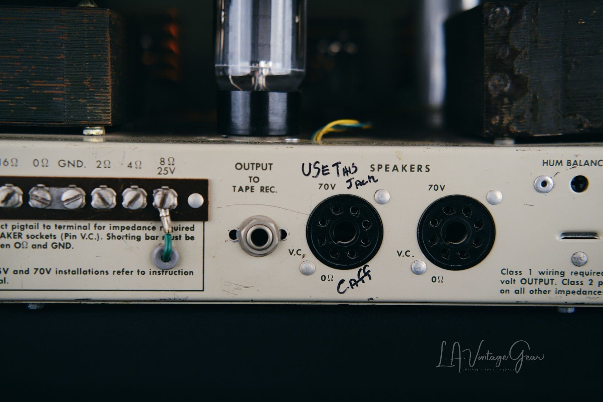 Newcomb Pathfinder E-75 Converted Amp Head - Image 10
