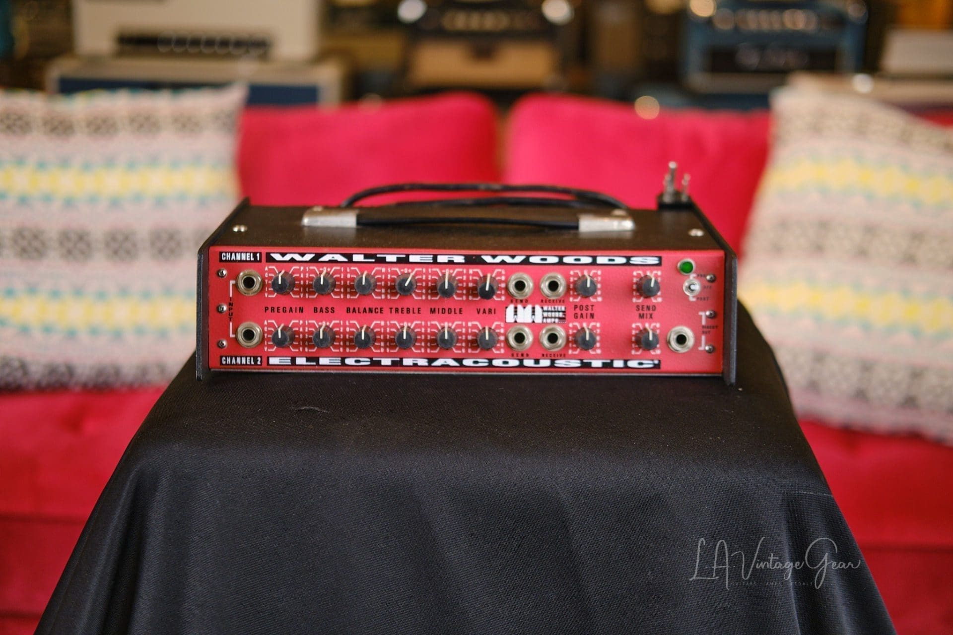 Walter Woods MI-200-8 Electracoustic Bass Amp - Recently Serviced by Valley Sound - Green Power Light!