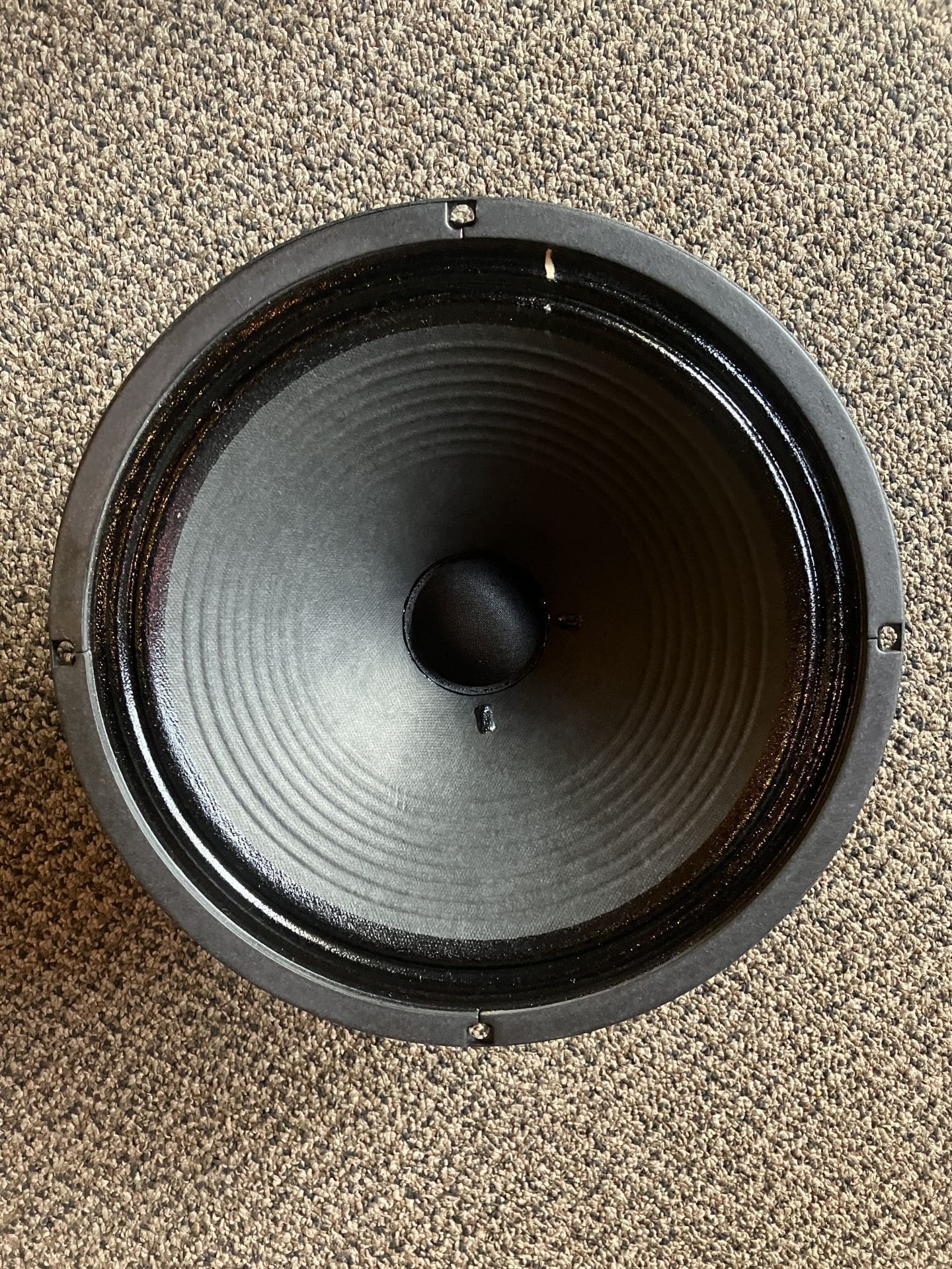 Celestion G12-50GL -- Lynchback -- 50 watts 8ohm 12" - Image 3