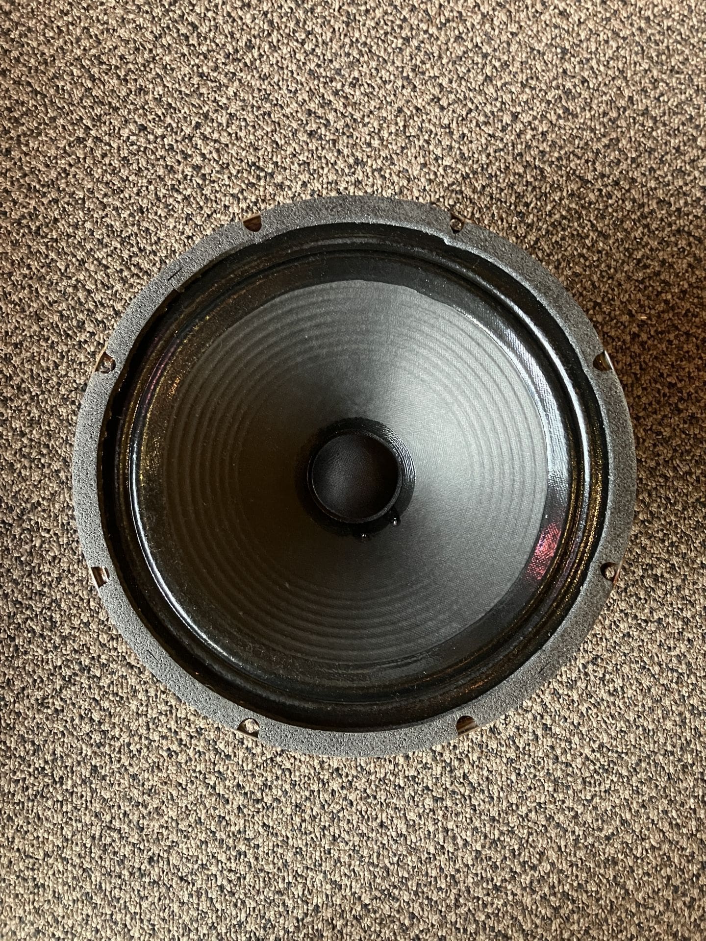 Vintage Celestion G12H-30- Reconed by Scumback to 65watt 15ohm - Image 5