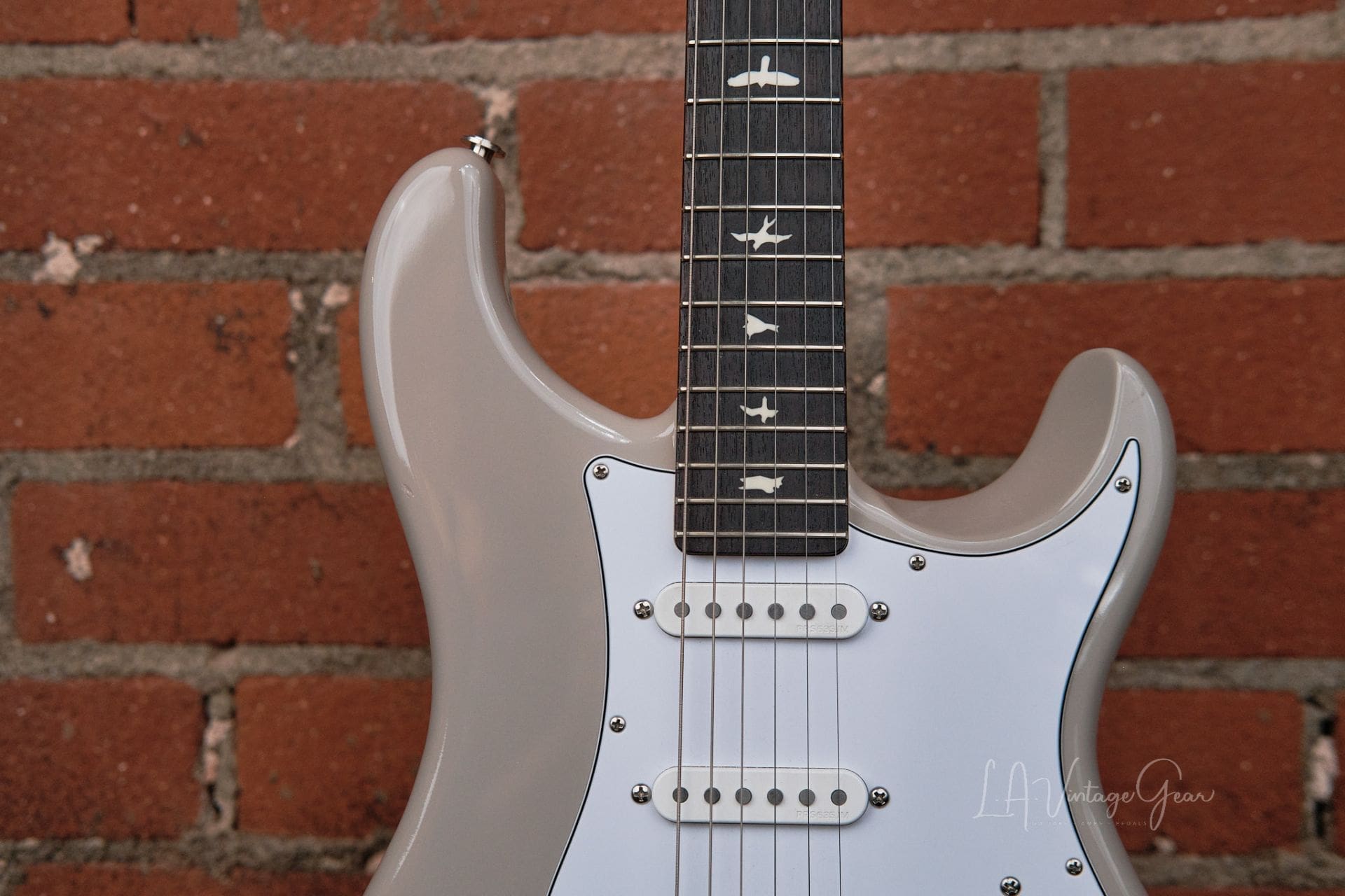 PRS Silver Sky - In Moc Sand! - Image 4
