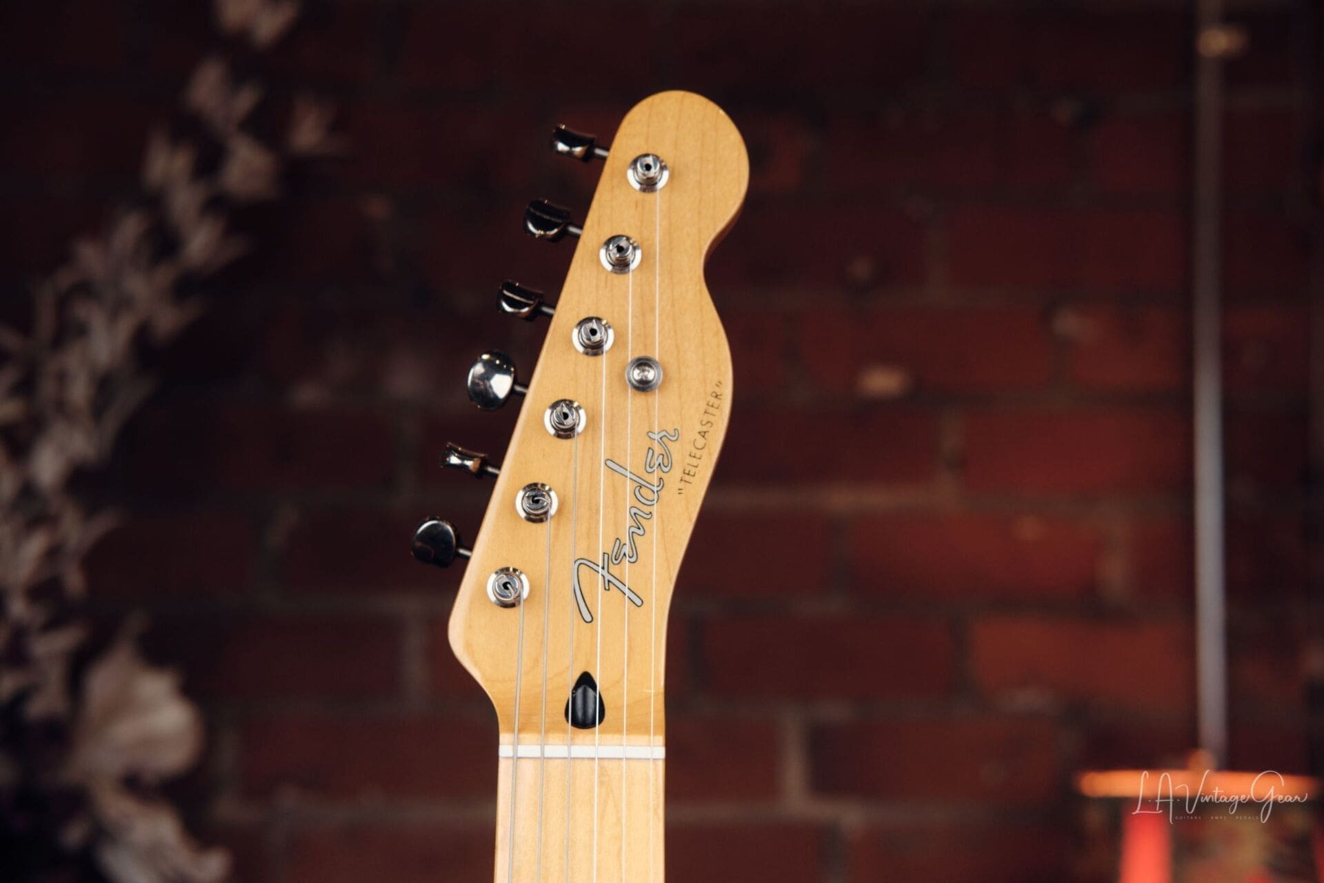 Fender TN SPL J-Craft Thinline Telecaster Special - Unique MIJ Tele! - Image 4