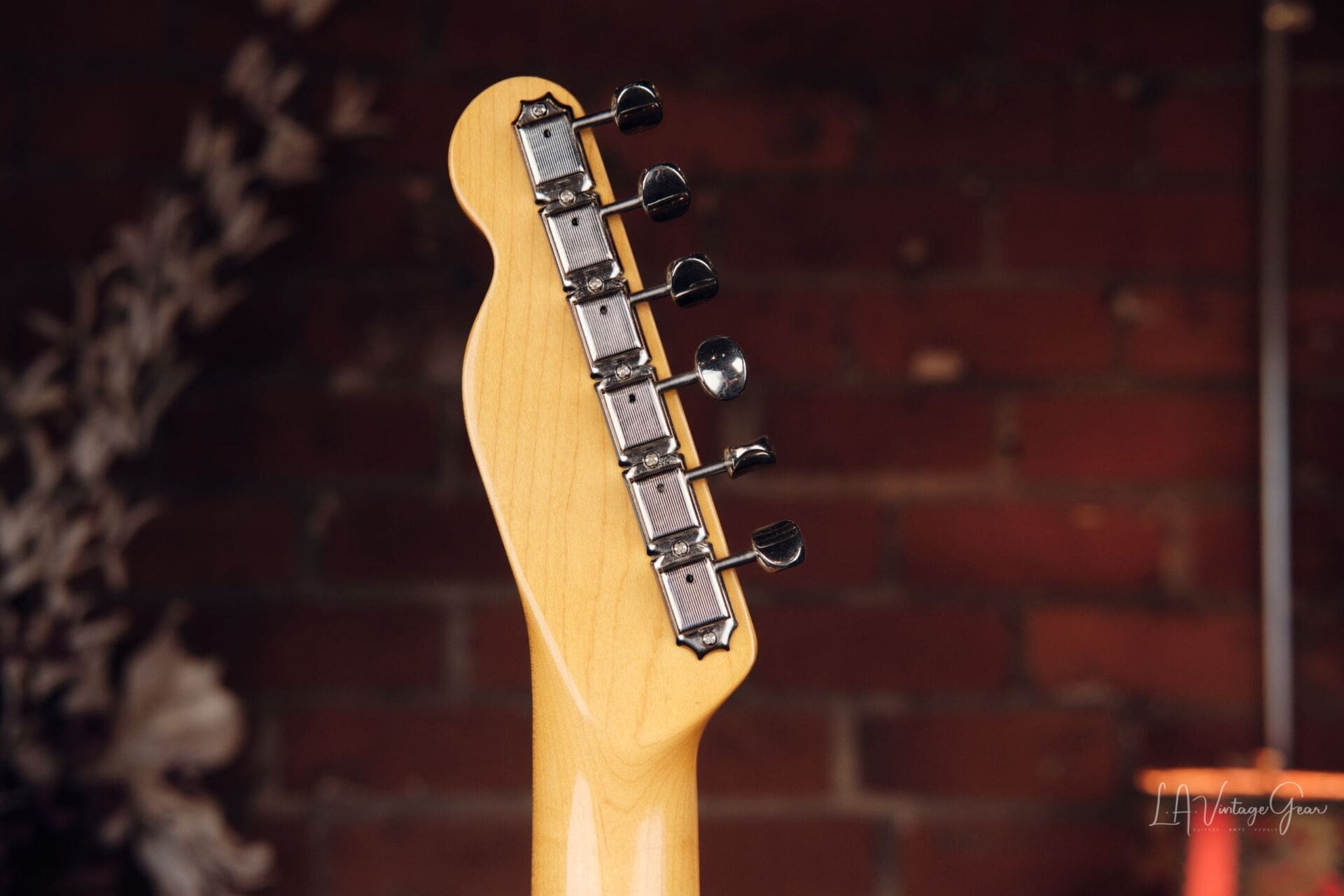 Fender TN SPL J-Craft Thinline Telecaster Special - Unique MIJ Tele! - Image 8