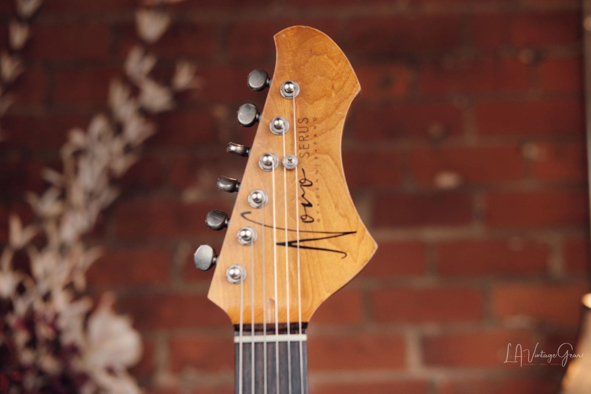 Novo Nucleus Serus J - Amber and Tortoise Shell! - Image 6