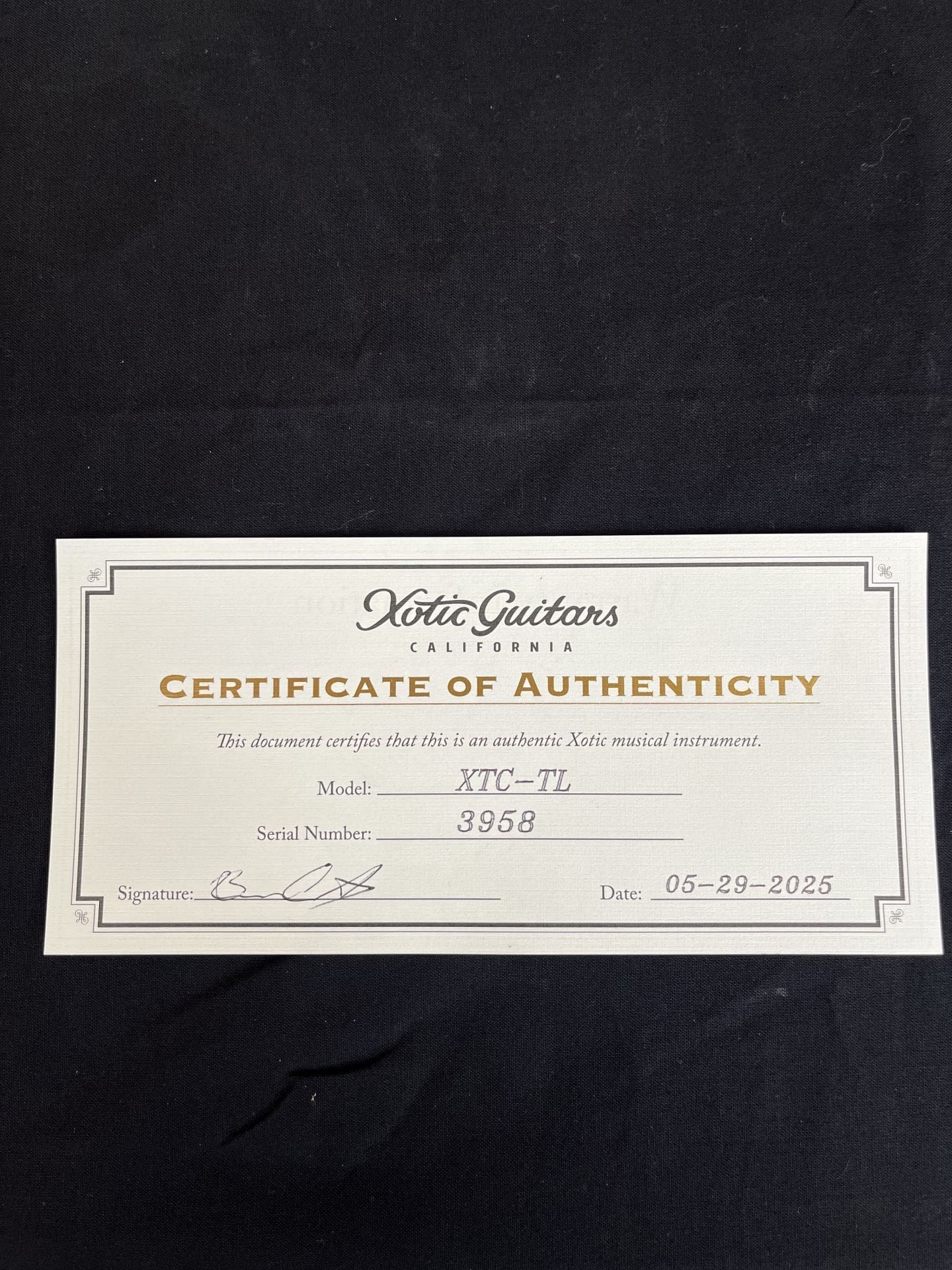 Xotic XTC-TL T-Style Relic'd Electric Guitar - Silver Metallic Finish Double Bound Thinline #3958! - Image 10