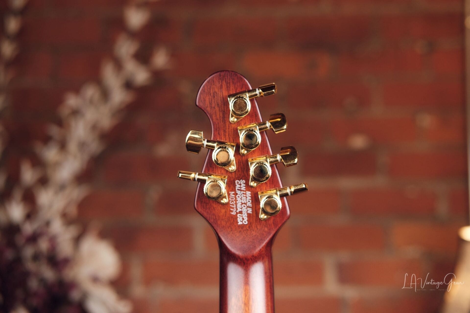 Ernie Ball Music Man Artisan Majesty Marrone - Mint! - Image 10