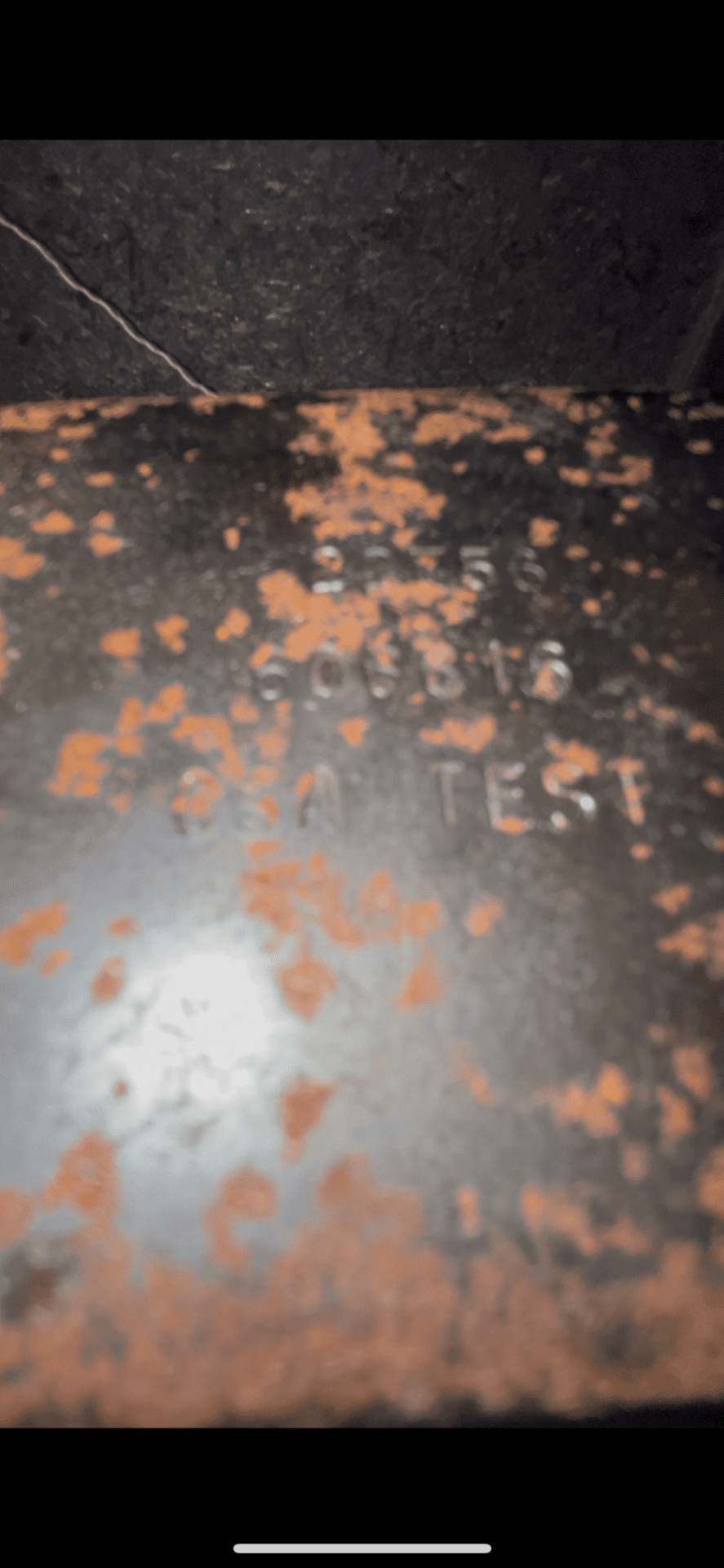1967 Fender Showman Head - Classic Fender Cleans! - Image 11