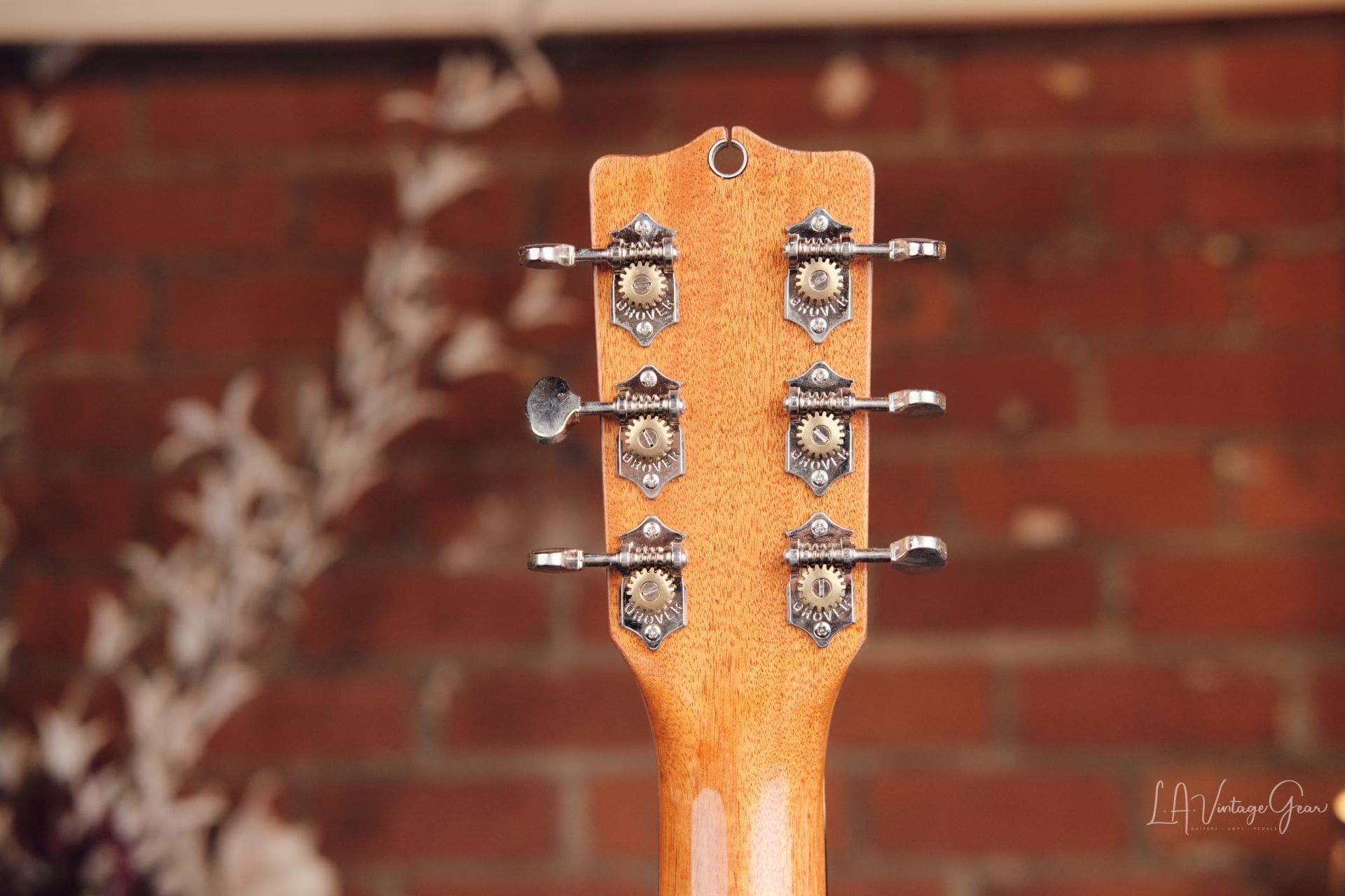 Grez Mendocino DCAF HH - With Throbak Pickup! - Image 10