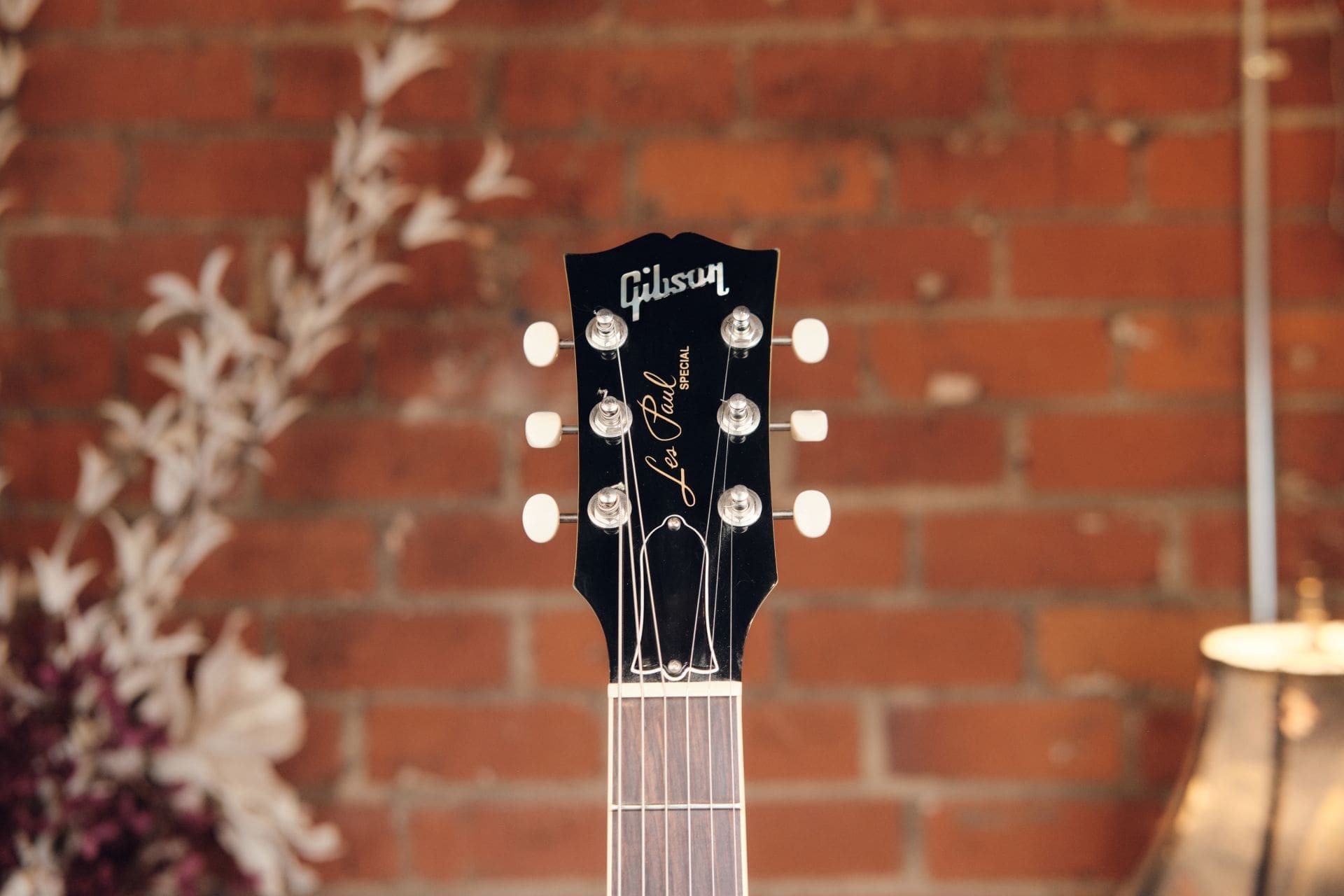 Gibson Les Paul Special - TV Yellow! - Image 6