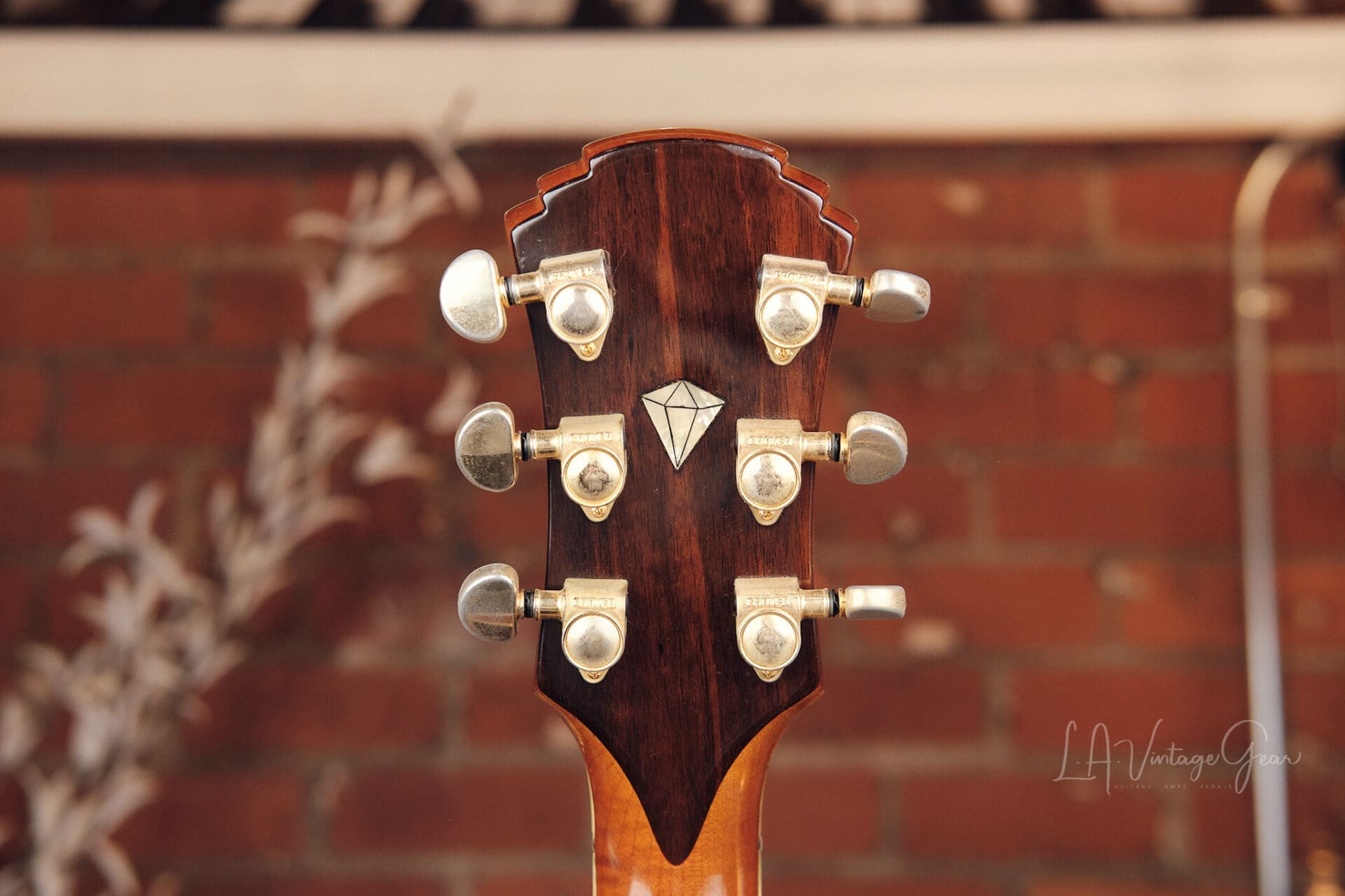 Roger Borys B120 DLX Archtop - From the Collection of Thom Rotella! - Image 13