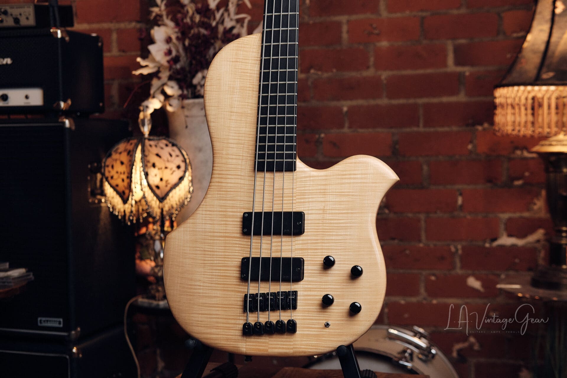 Human Base ClassX 5 String Bass - Awesome Single Cut! - Image 3