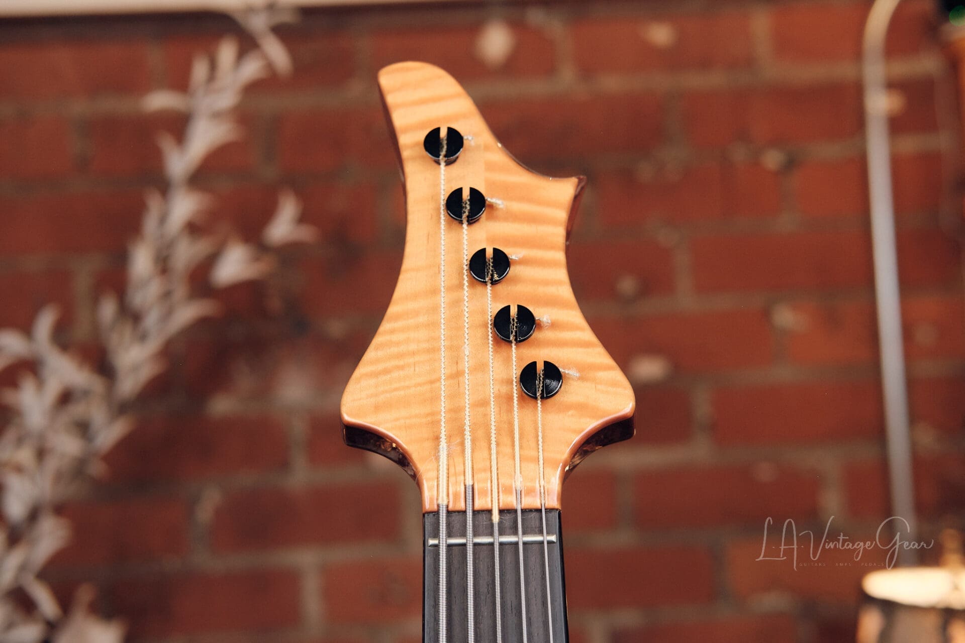 Le Fay Capone 5 String Bass - Amazing Ergonomics! - Image 5